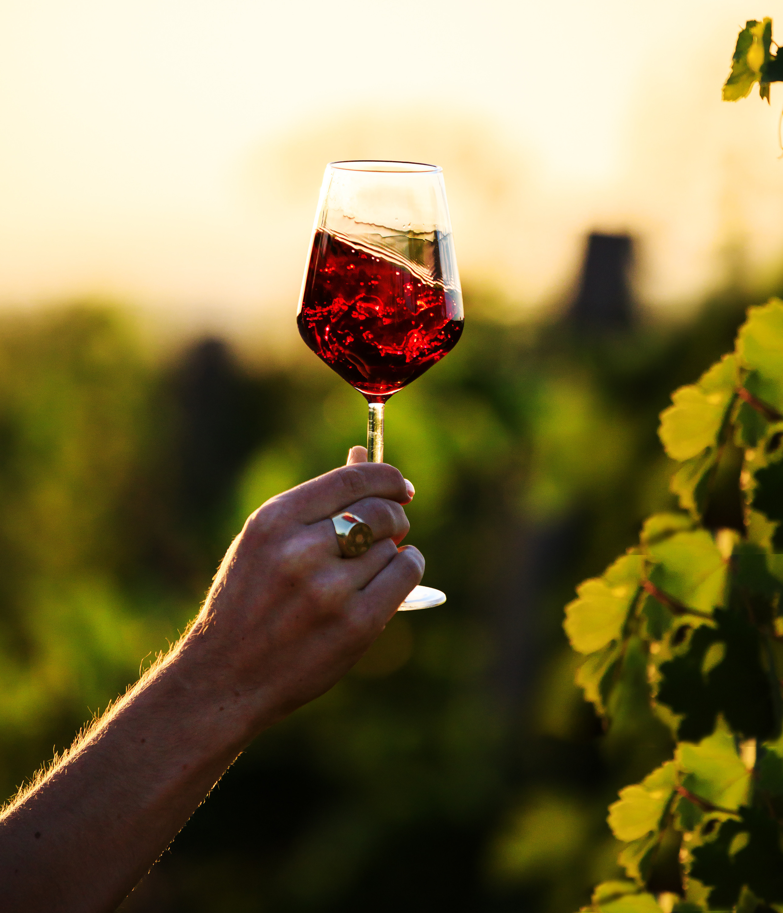 Тематическая фотосессия для талантливого молодого винодела. Семейный, детский, репортажный фотограф в Ташкенте Елена Аллабергенова