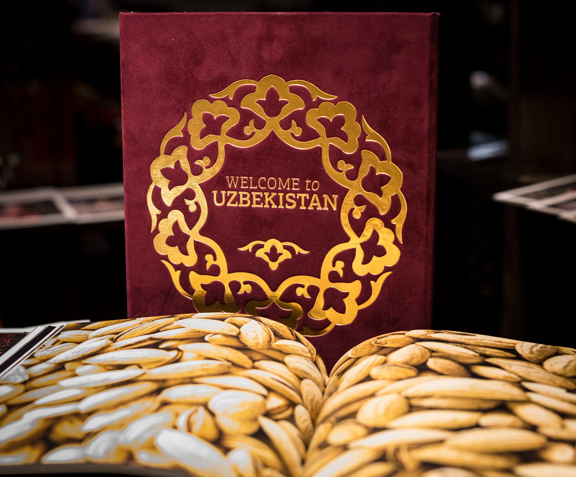 Презентация нового журнала Визит Узбекистан. Семейный, детский, репортажный фотограф в Ташкенте Елена Аллабергенова