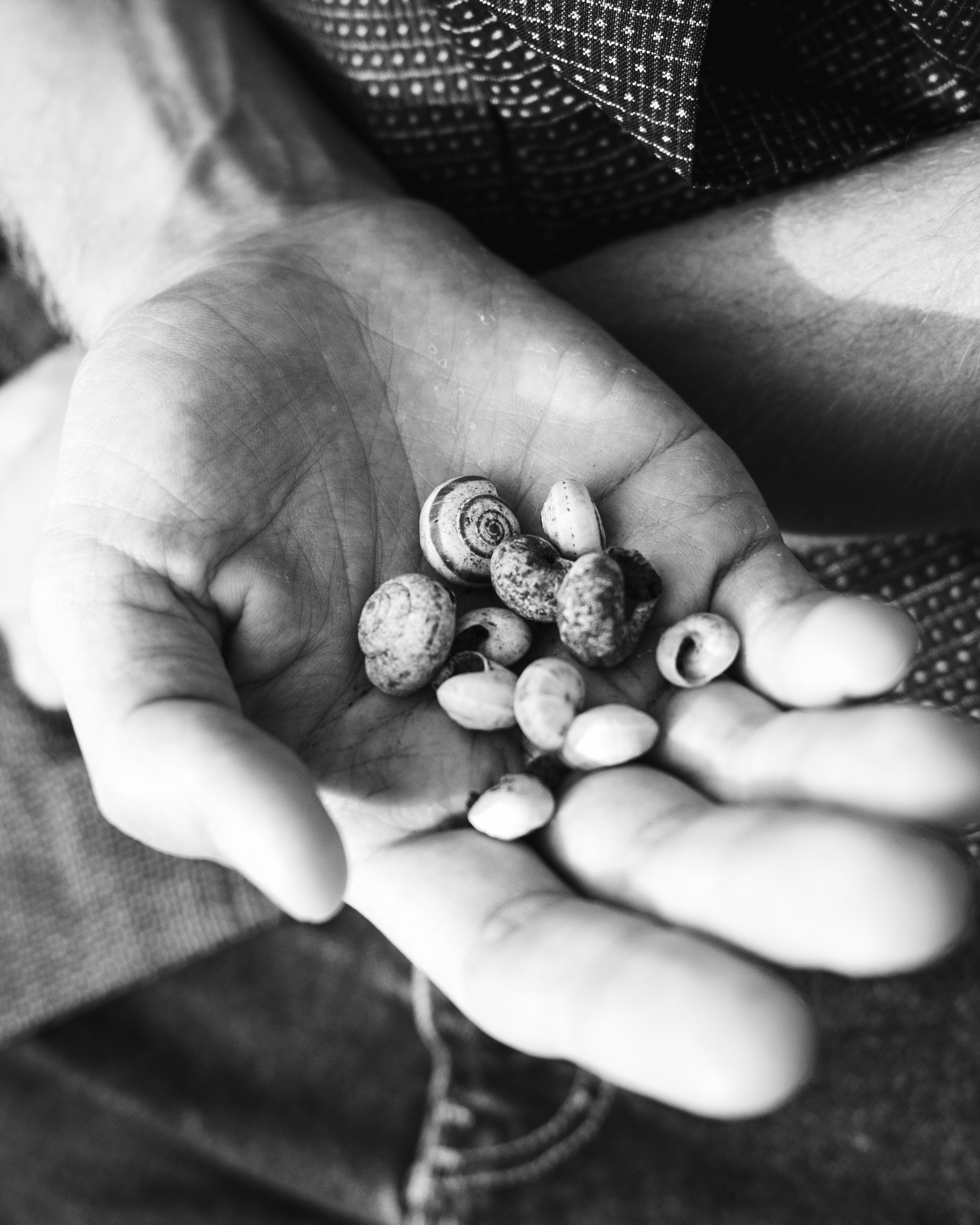 Denis in the field. Professional Photographer in Berlin — Portraits, Love Story, Events, F