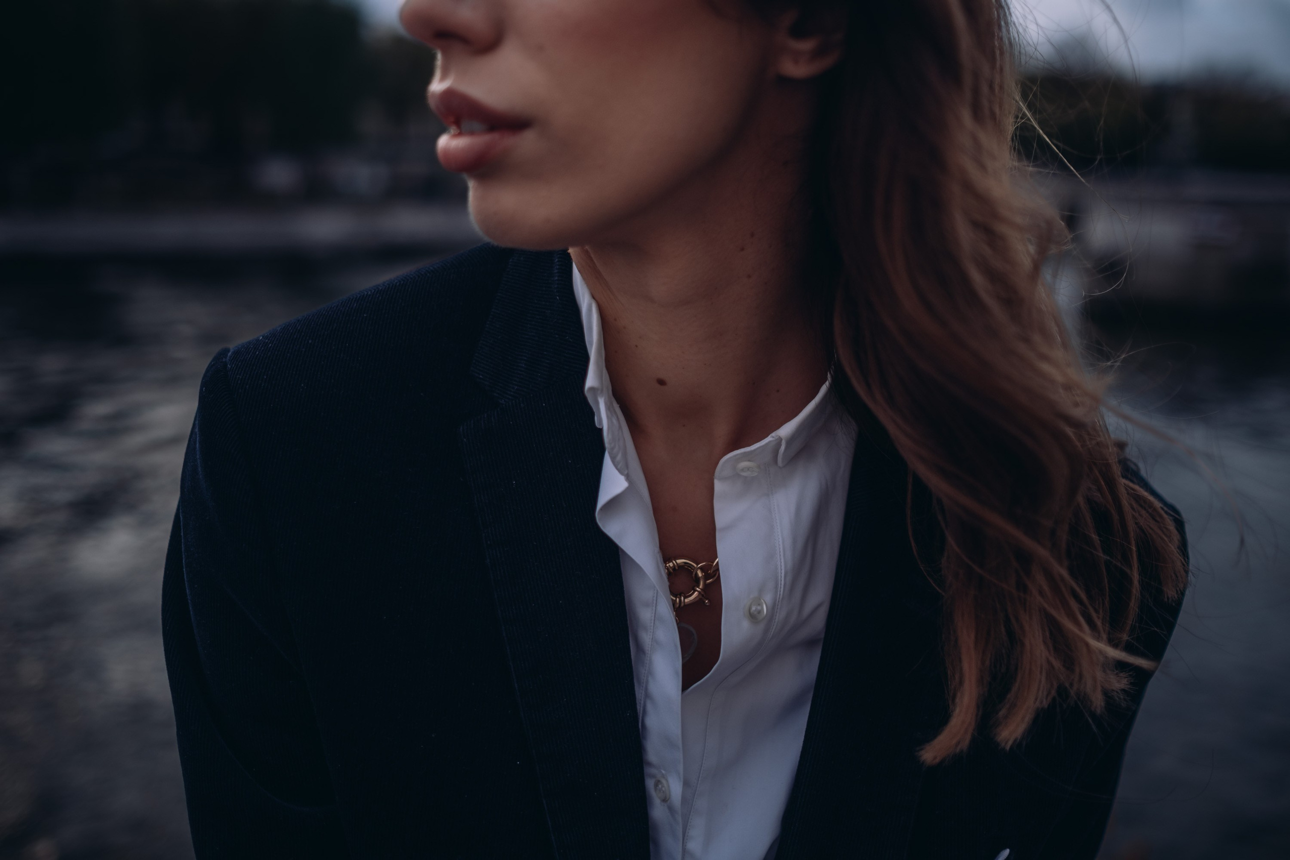 Viktoria. Paris photographer - Oleksandr Kovalchuk