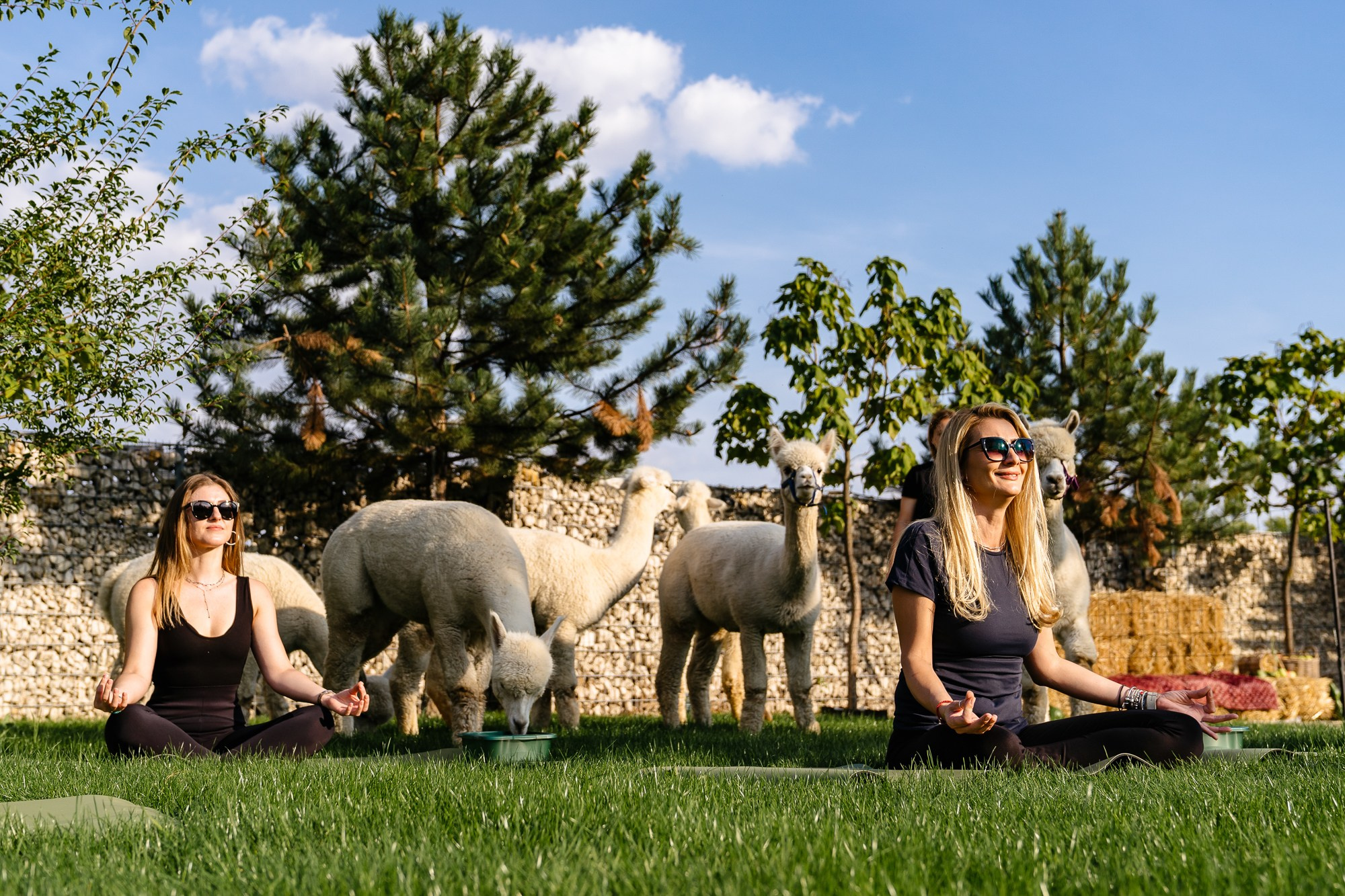 Openings & Brand Activation | Fotografie PR. Fotograf Corporate Business