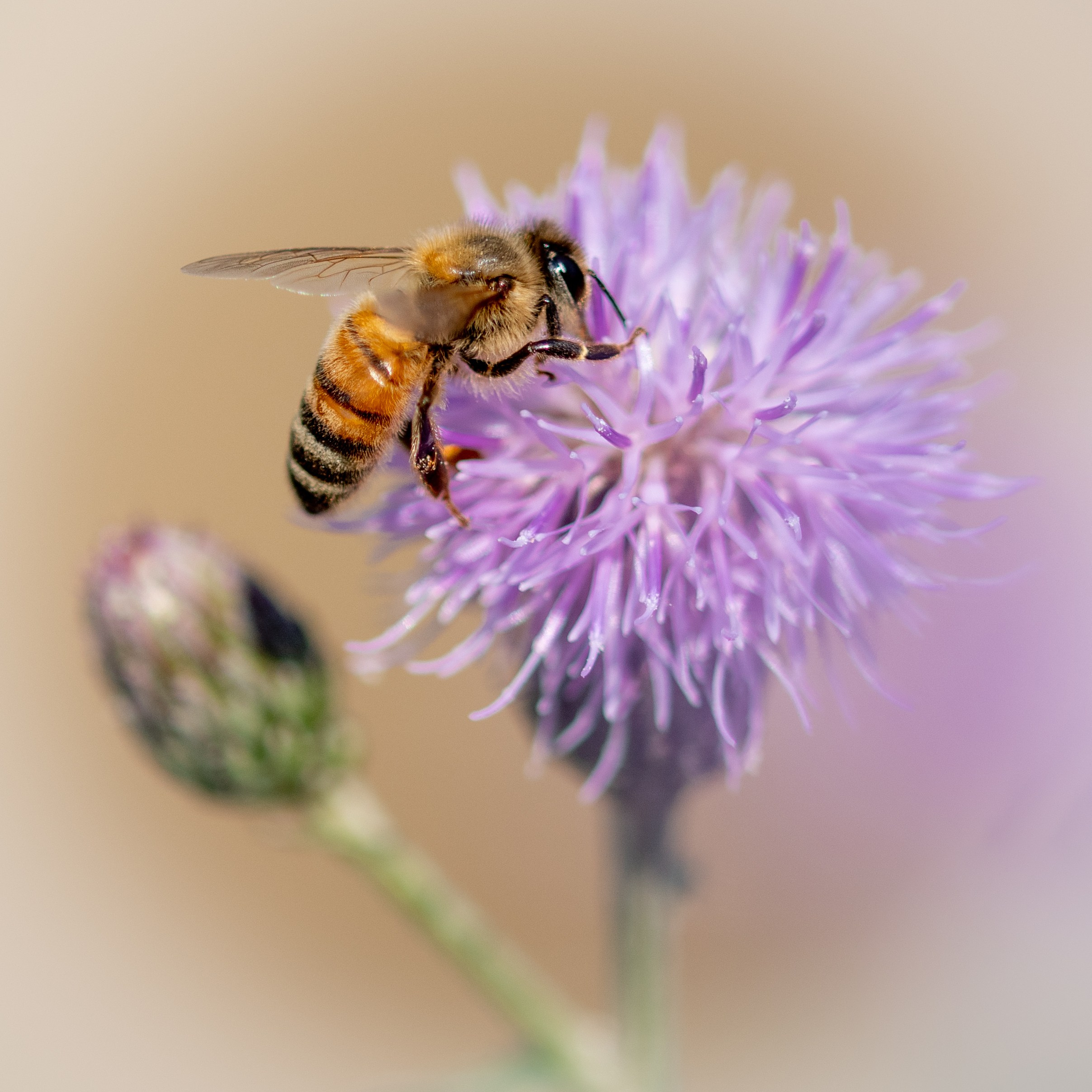 “Gianmaria Coscia fotografo per passione”