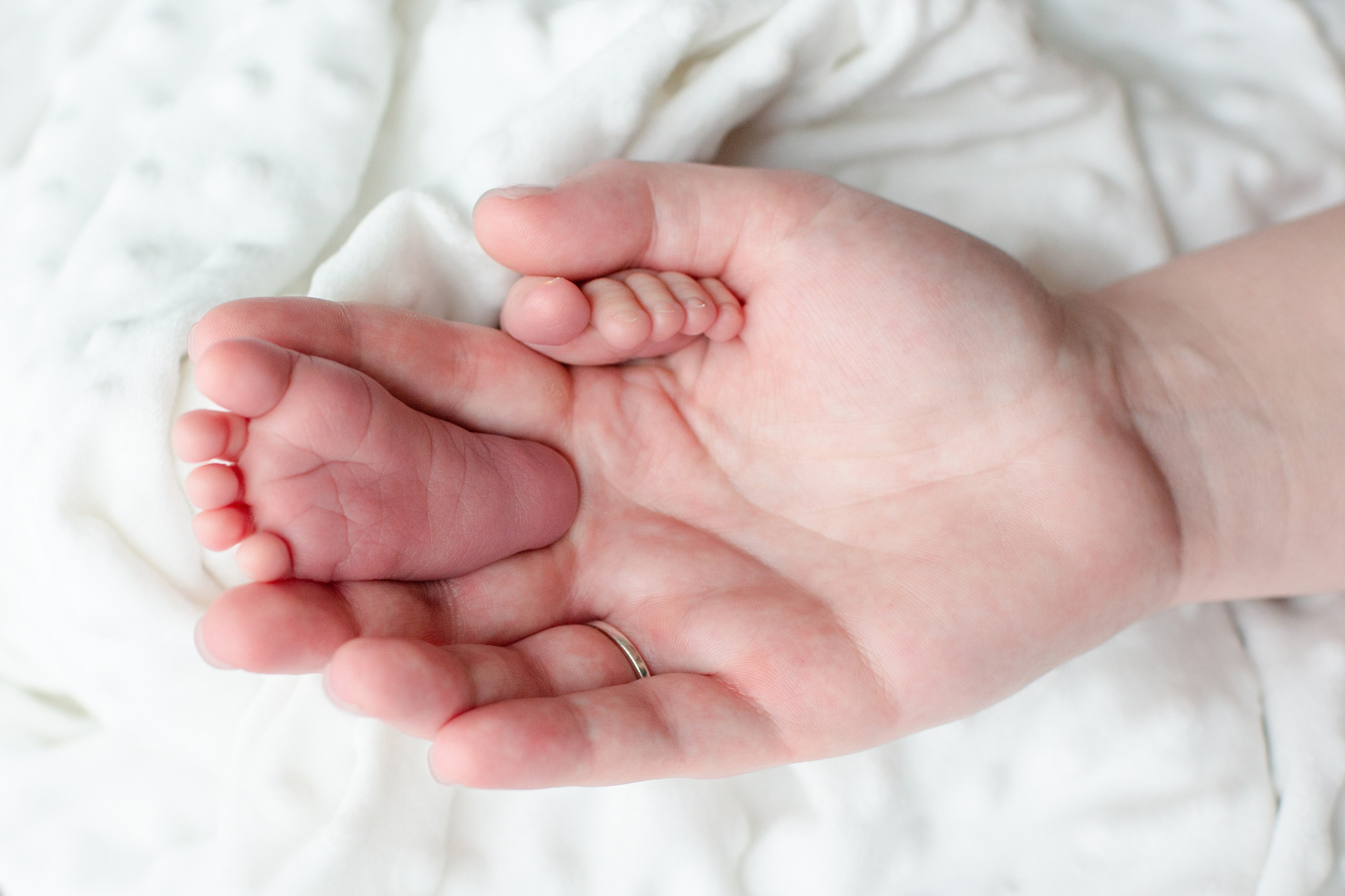 Макросъёмка. Фотограф новорождённых (Newborn) и малышей до года в Латвии и Эстонии | Alina Photo
