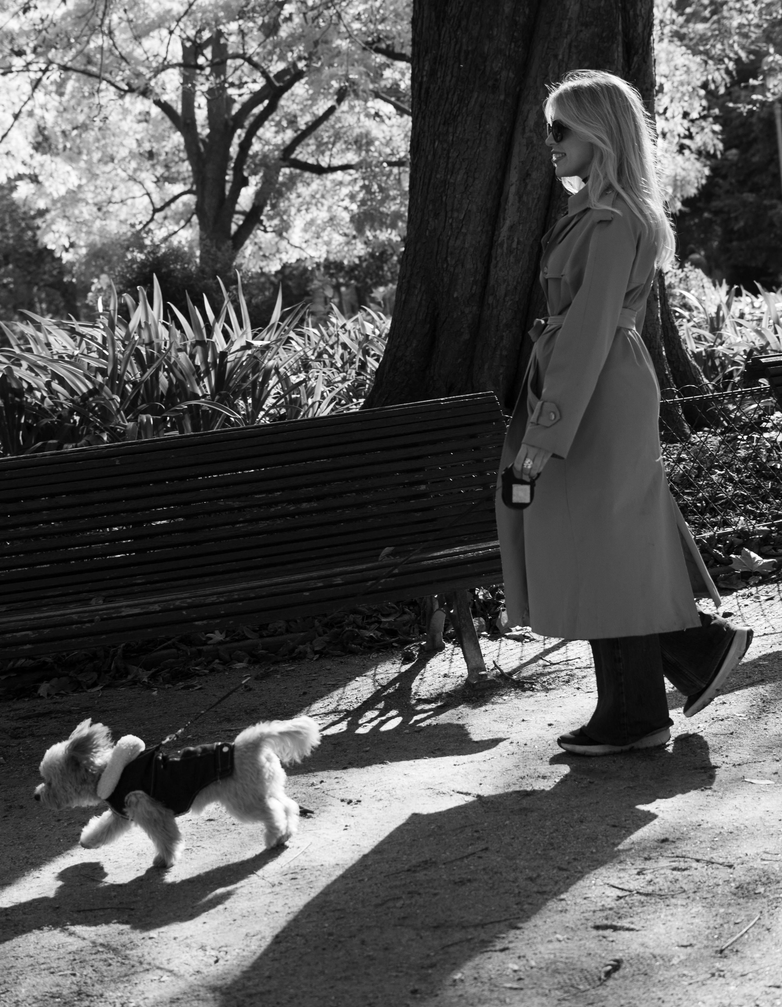 Barney, Nastya et Kolya. Photographe animalier à Paris Anna Pereira