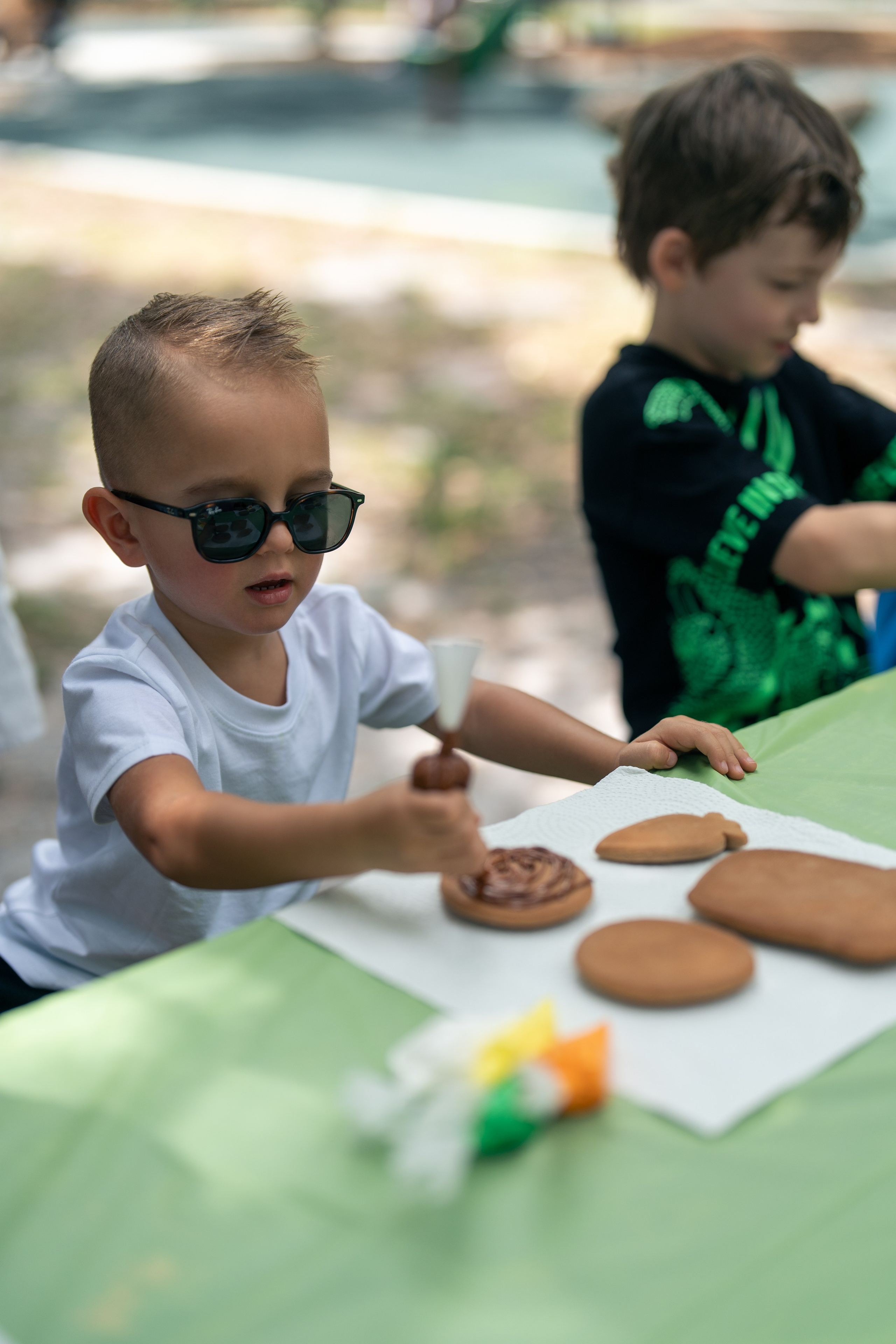 Painting cookies. Color Boom