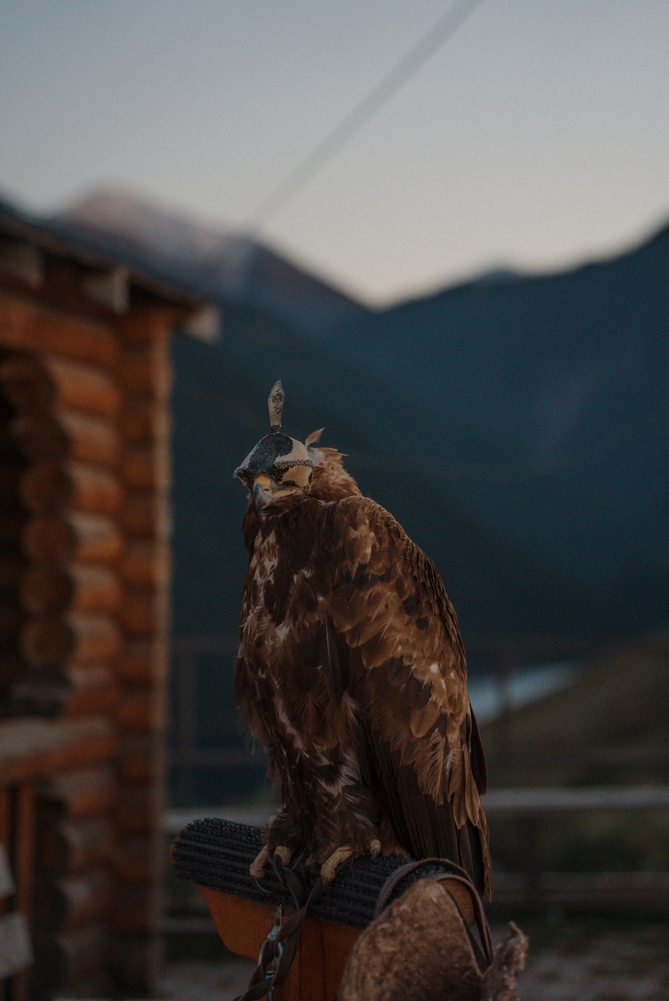 КАЗАХСТАН. Стрит-фотография, полная абсурда, идиотизма и красоты