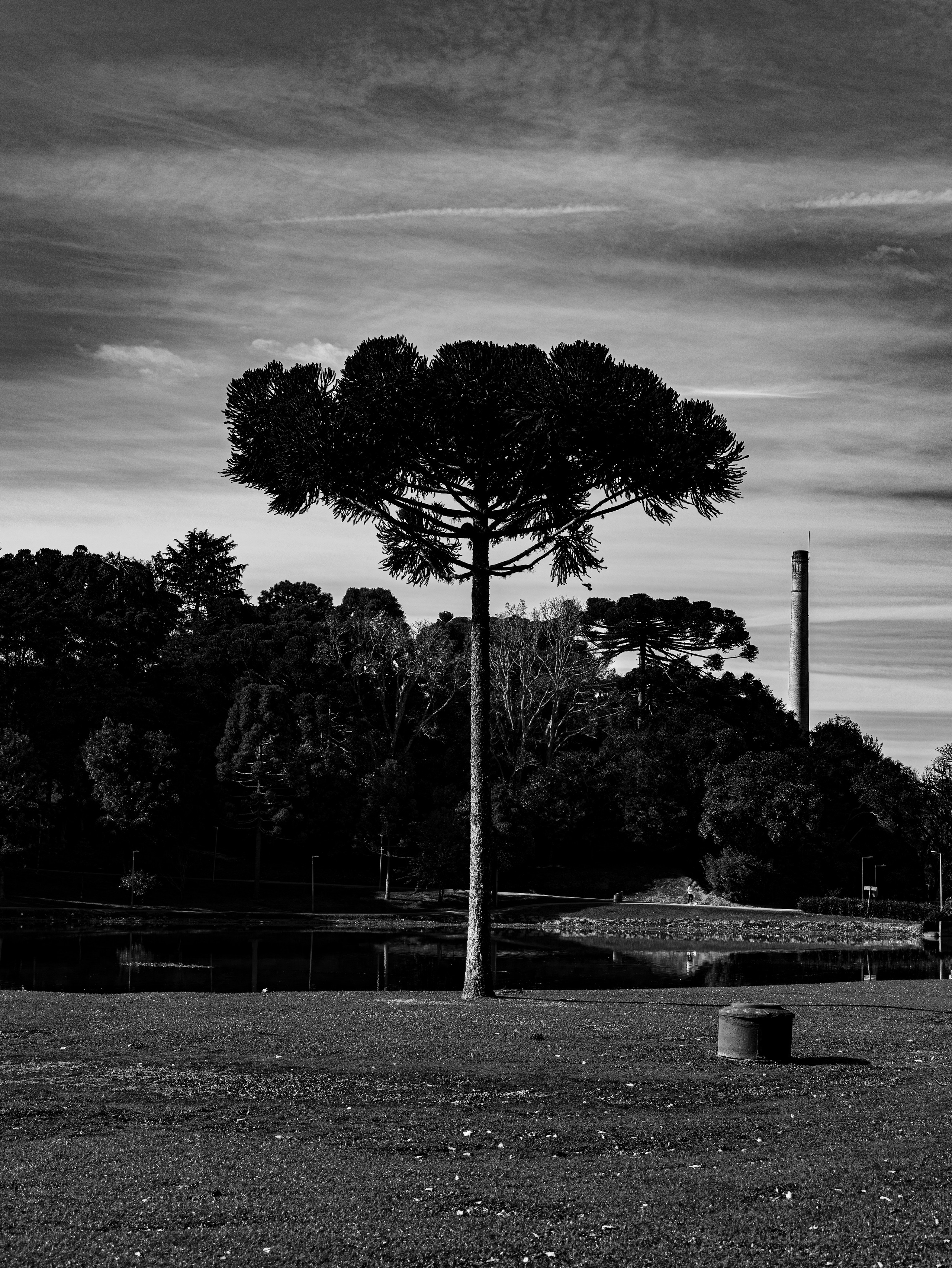 Silêncios em Cinza. Roberto Costa Curta — Fotografo