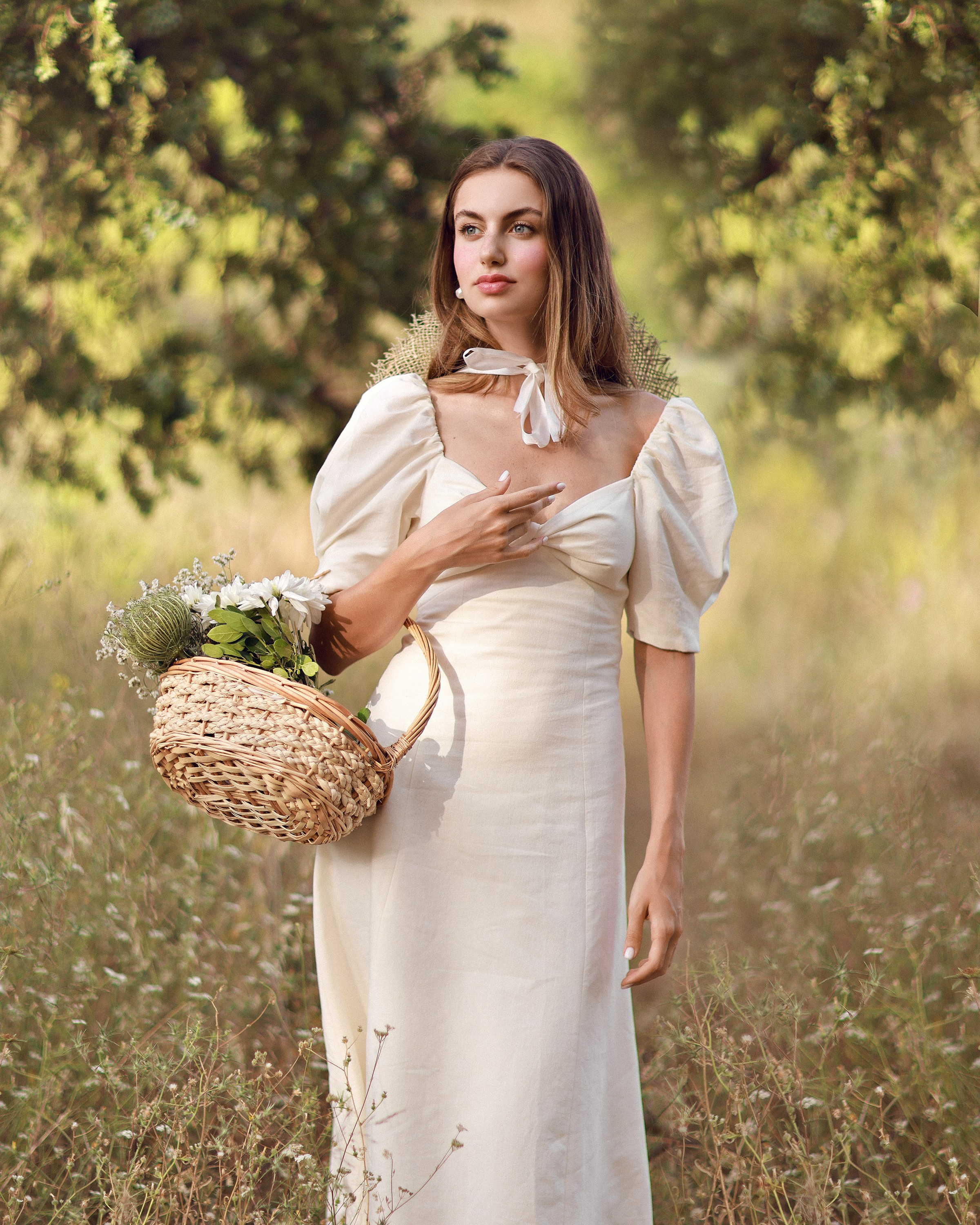 Diana Olive Tree. Dana