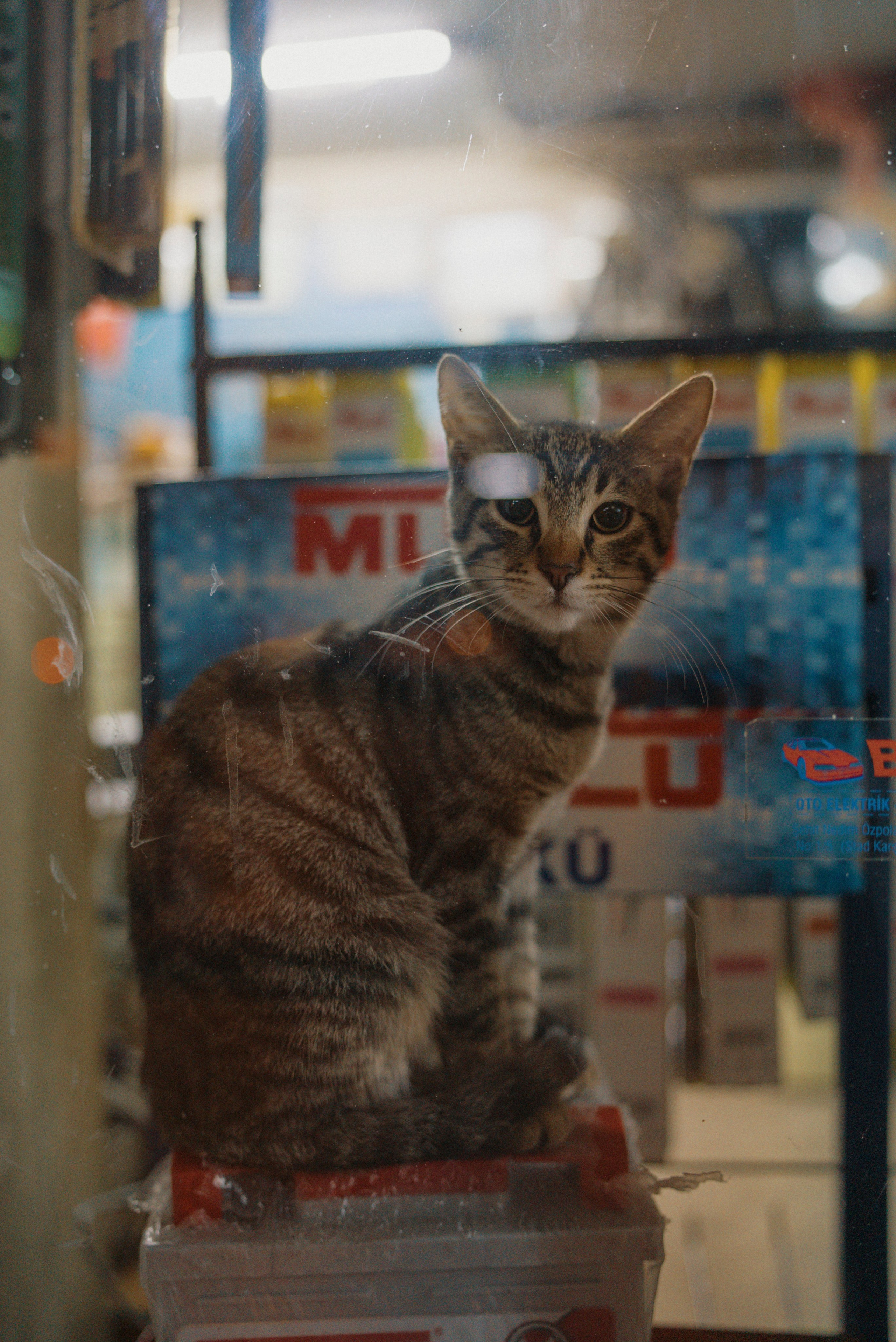 СТАМБУЛ. Стрит-фотография, полная абсурда, идиотизма и красоты