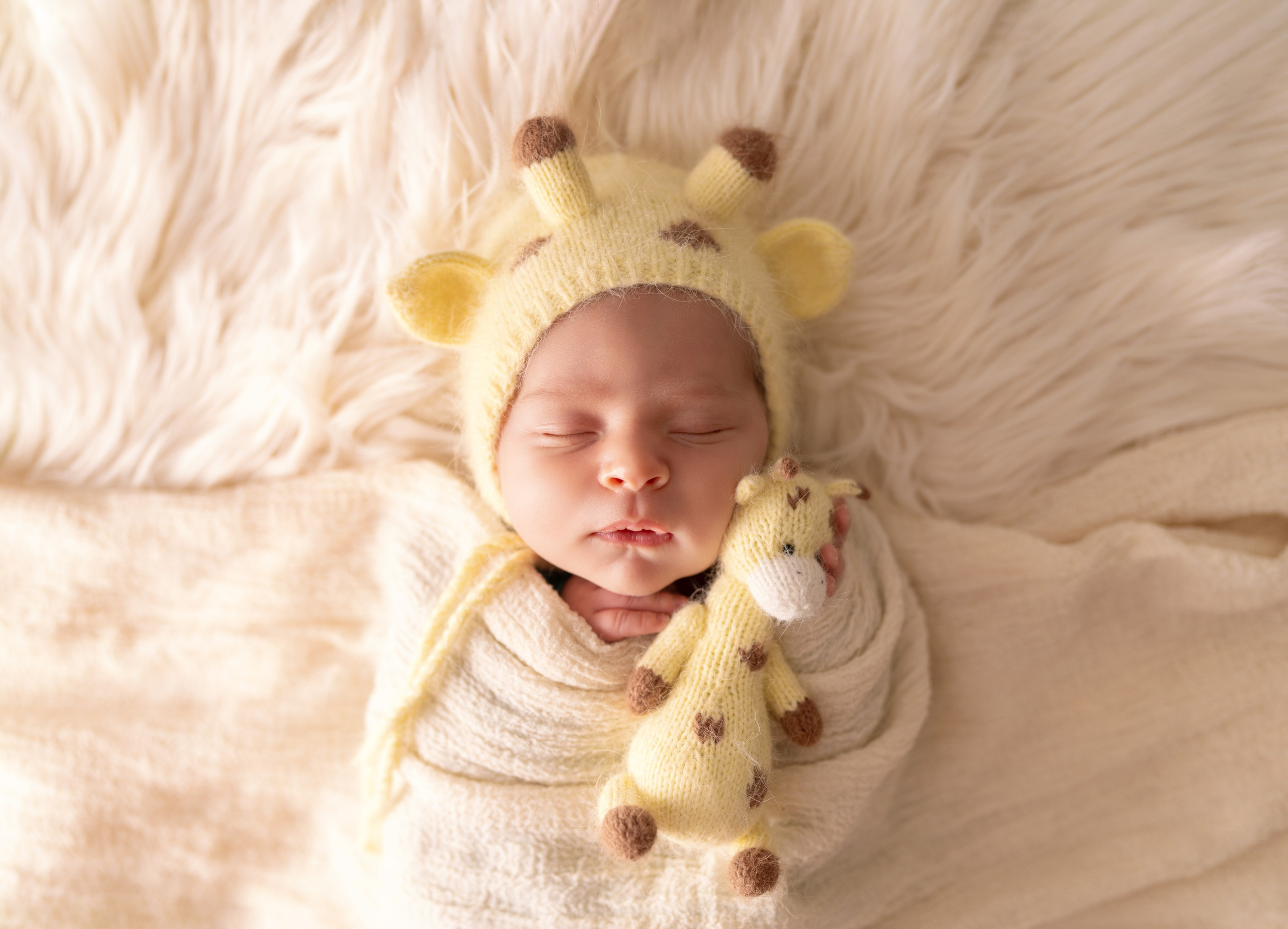 Newborn photography in Lakeland, Florida