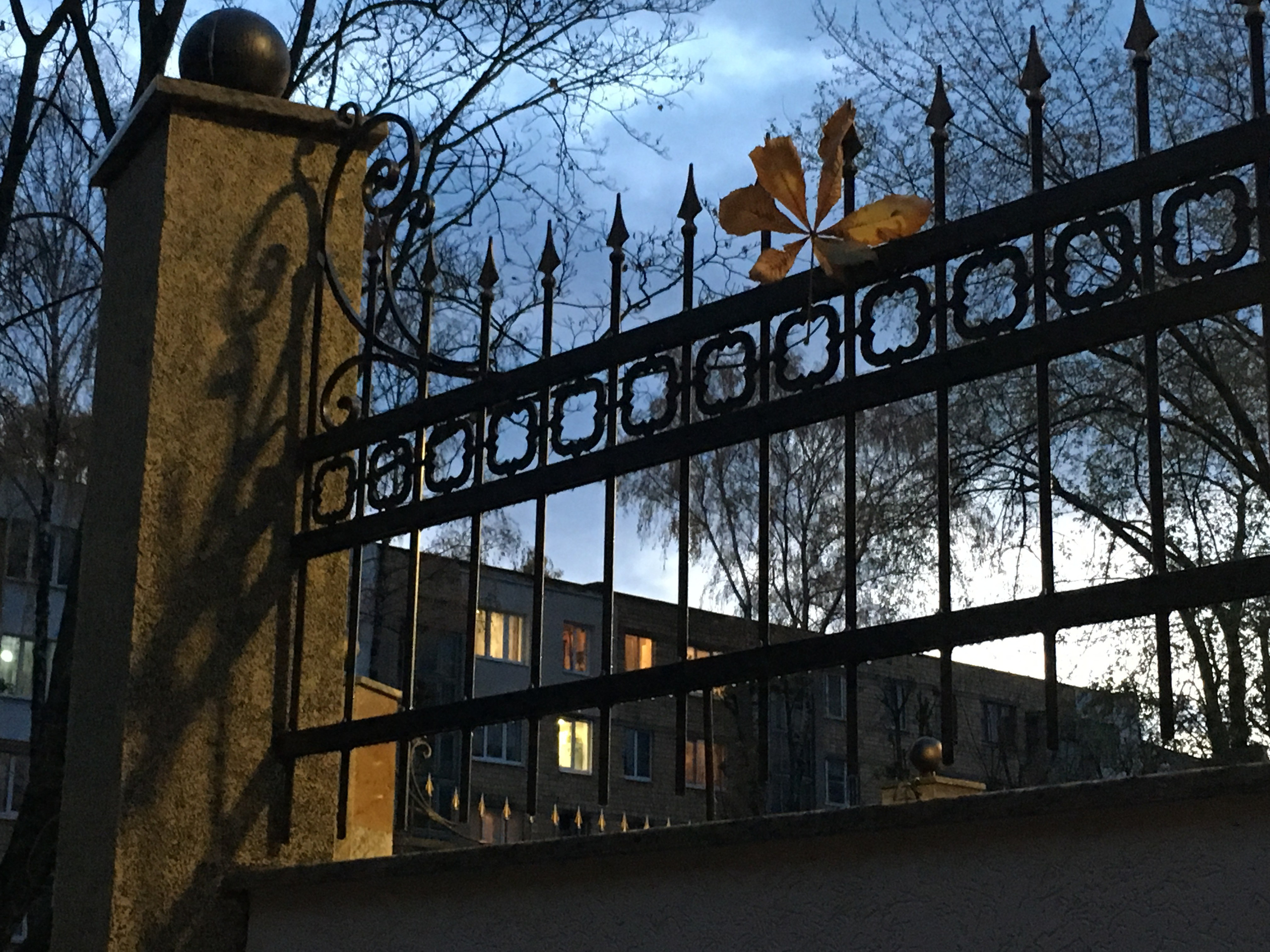 Коммерческие проекты Марии Тарлецкой. Скульптор кузнец Мария Тарлецкая