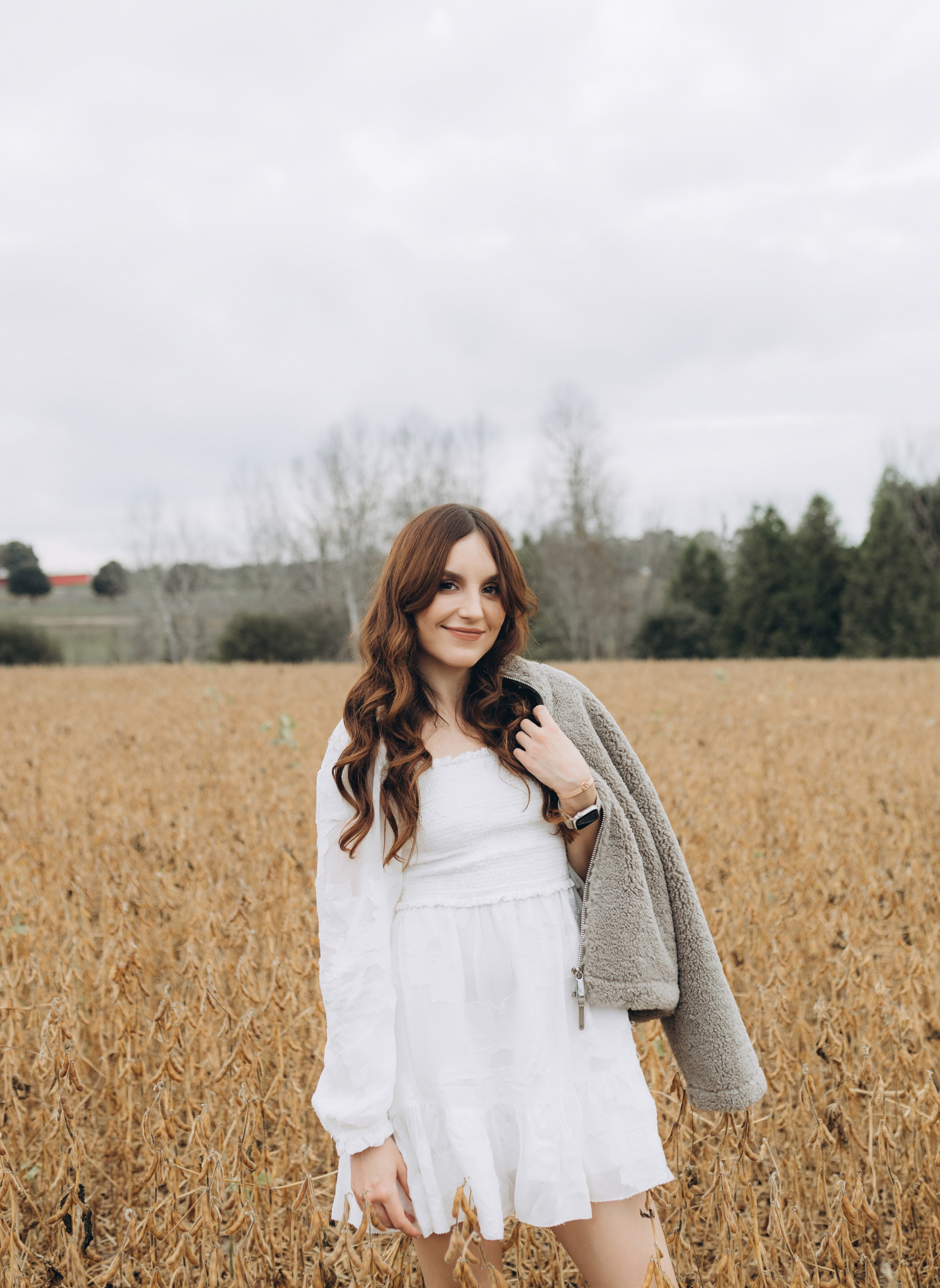 Alpacas Farm. Chernenko.photography