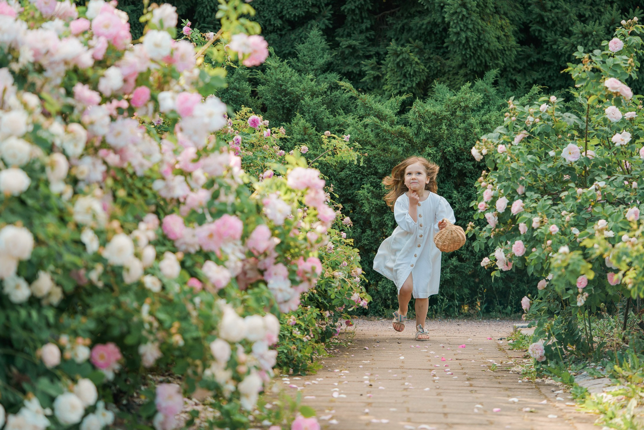 Pieni tyttö kurkistaa hymyillen vaaleanpunaisen ruusupensaan takaa.