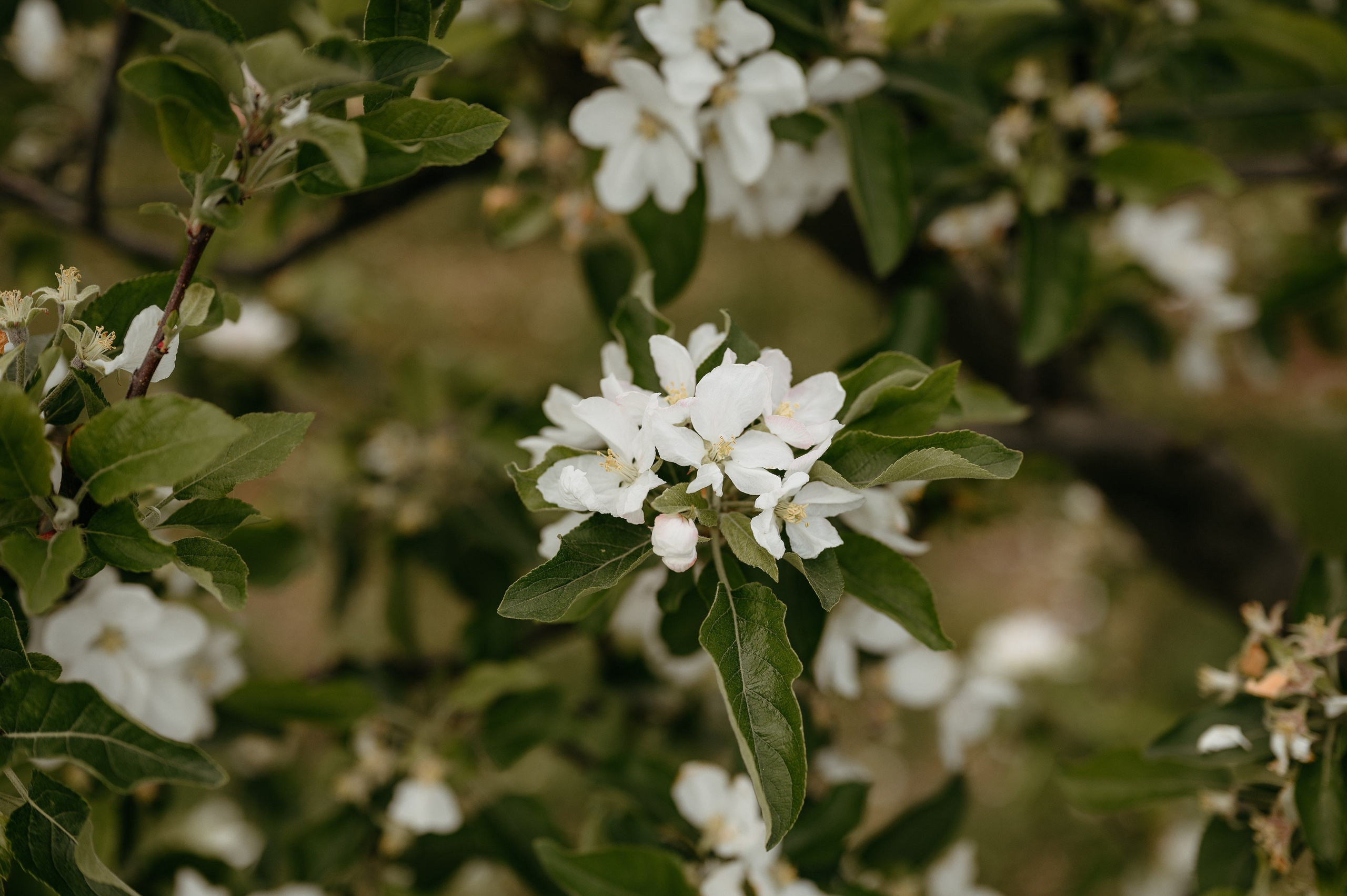 Styled shoot in Iasi. Valentin Melen - fotograf de nunta 🤍