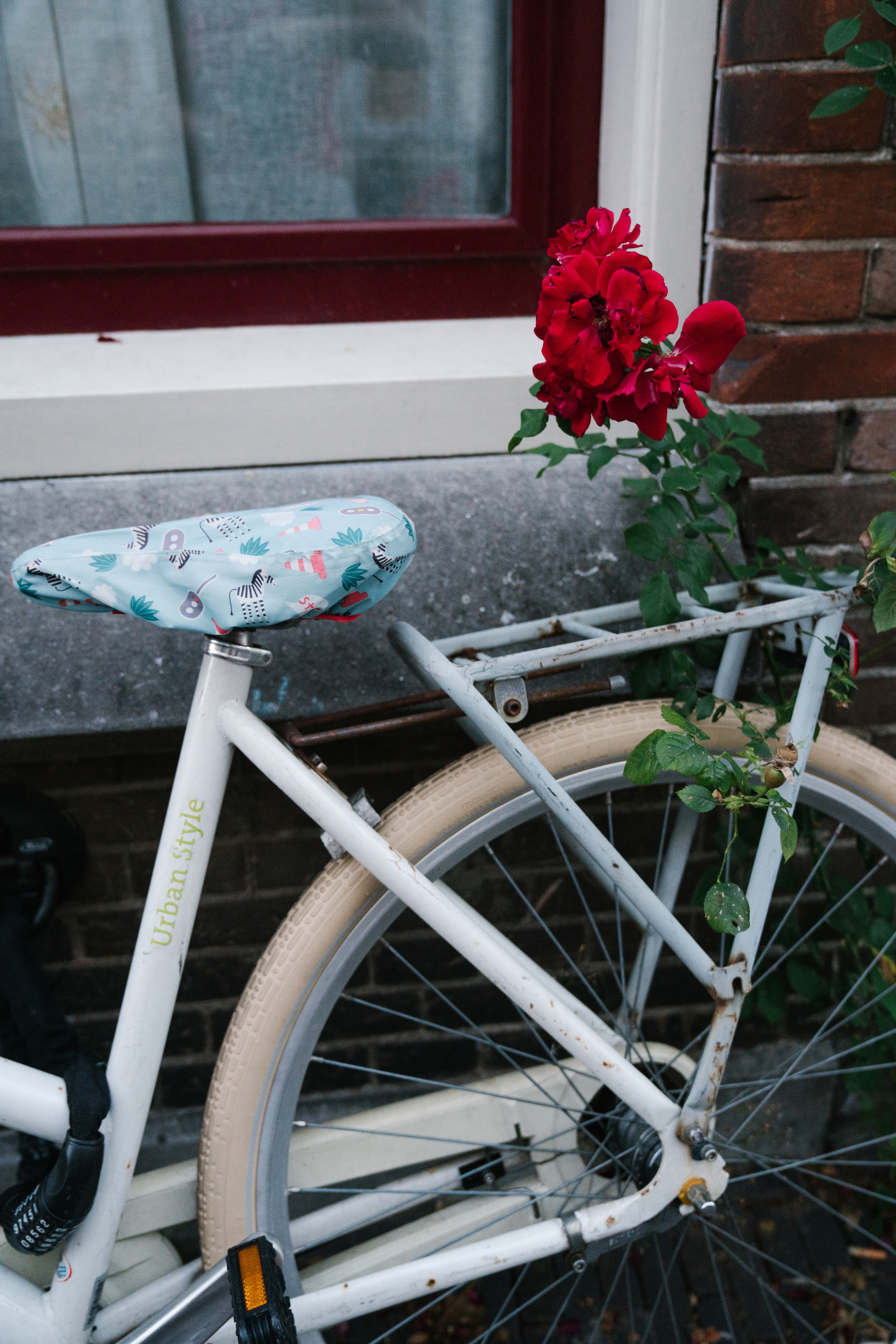 Fahrrad mit einer roten Rose und blauem Sitz