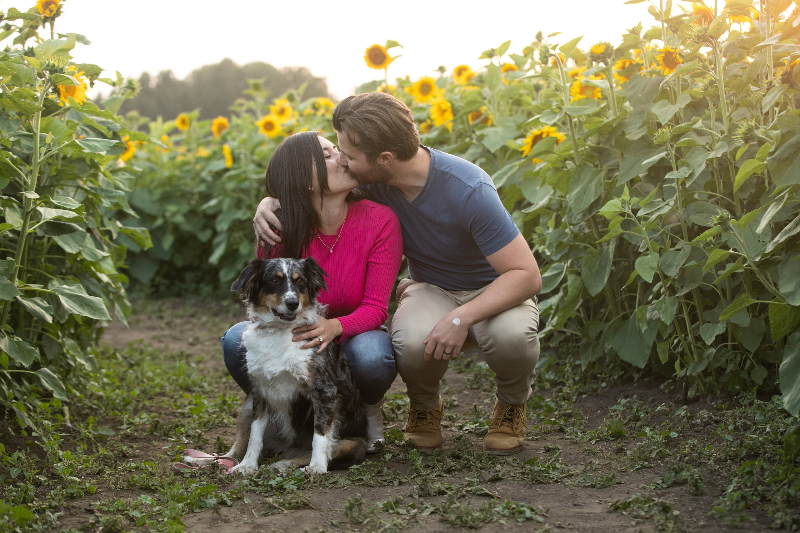 Bowden Sunmaze Ana Pau. Fotografía accesible en Calgary