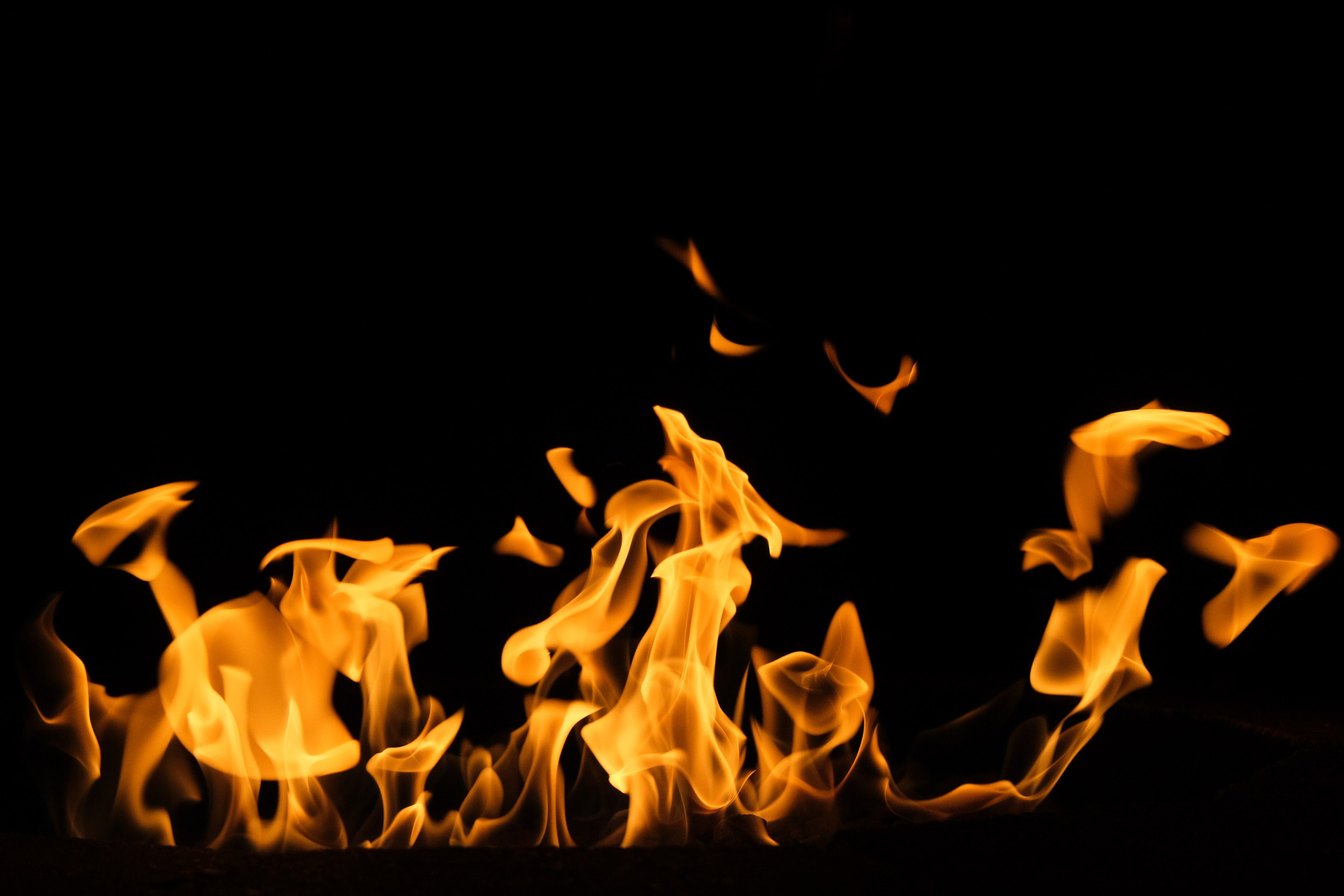 VATRA. Reportage concert portrait photography in the San Francisco Bay Area