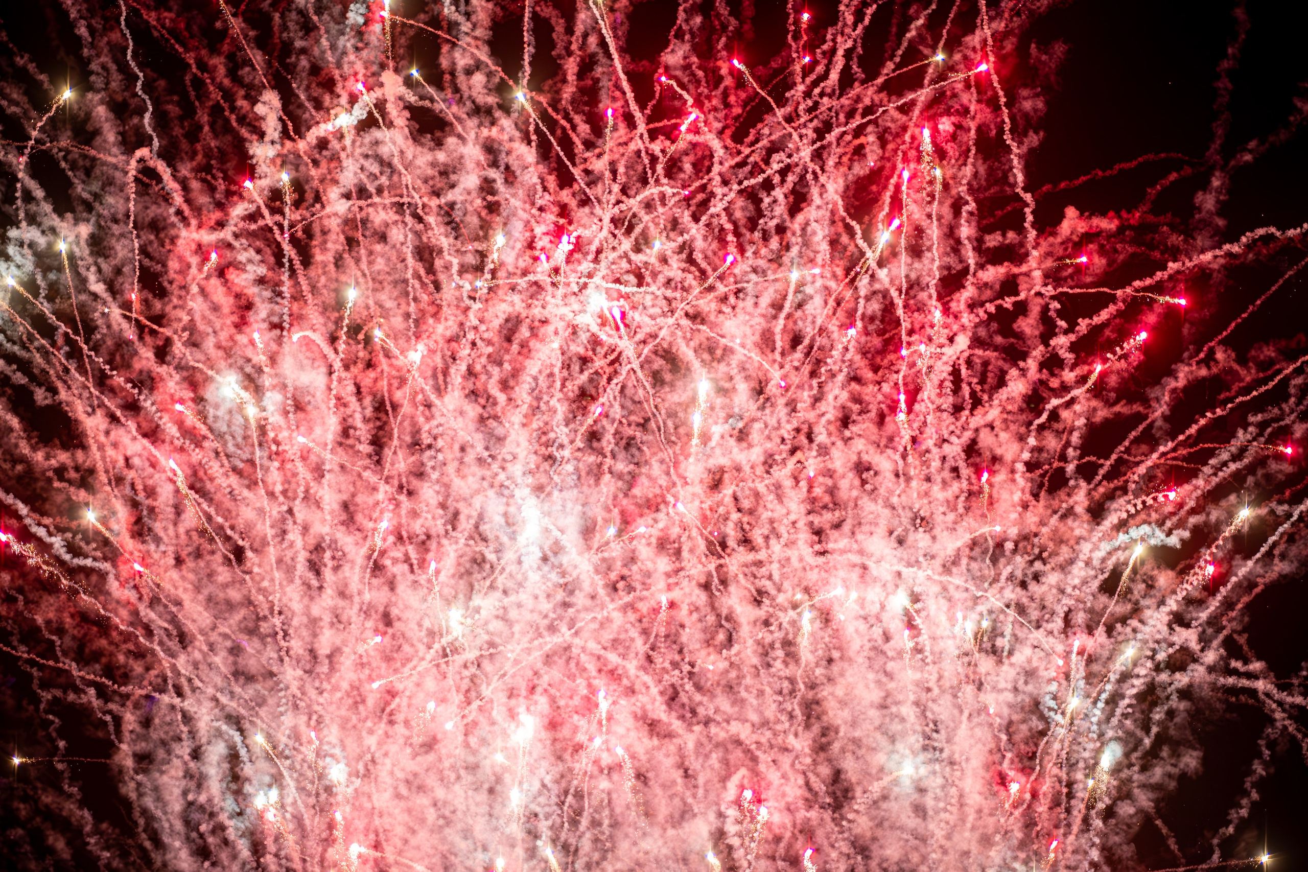 BURNING MAN 2024. Reportage concert portrait photography in the San Francisco Bay Area