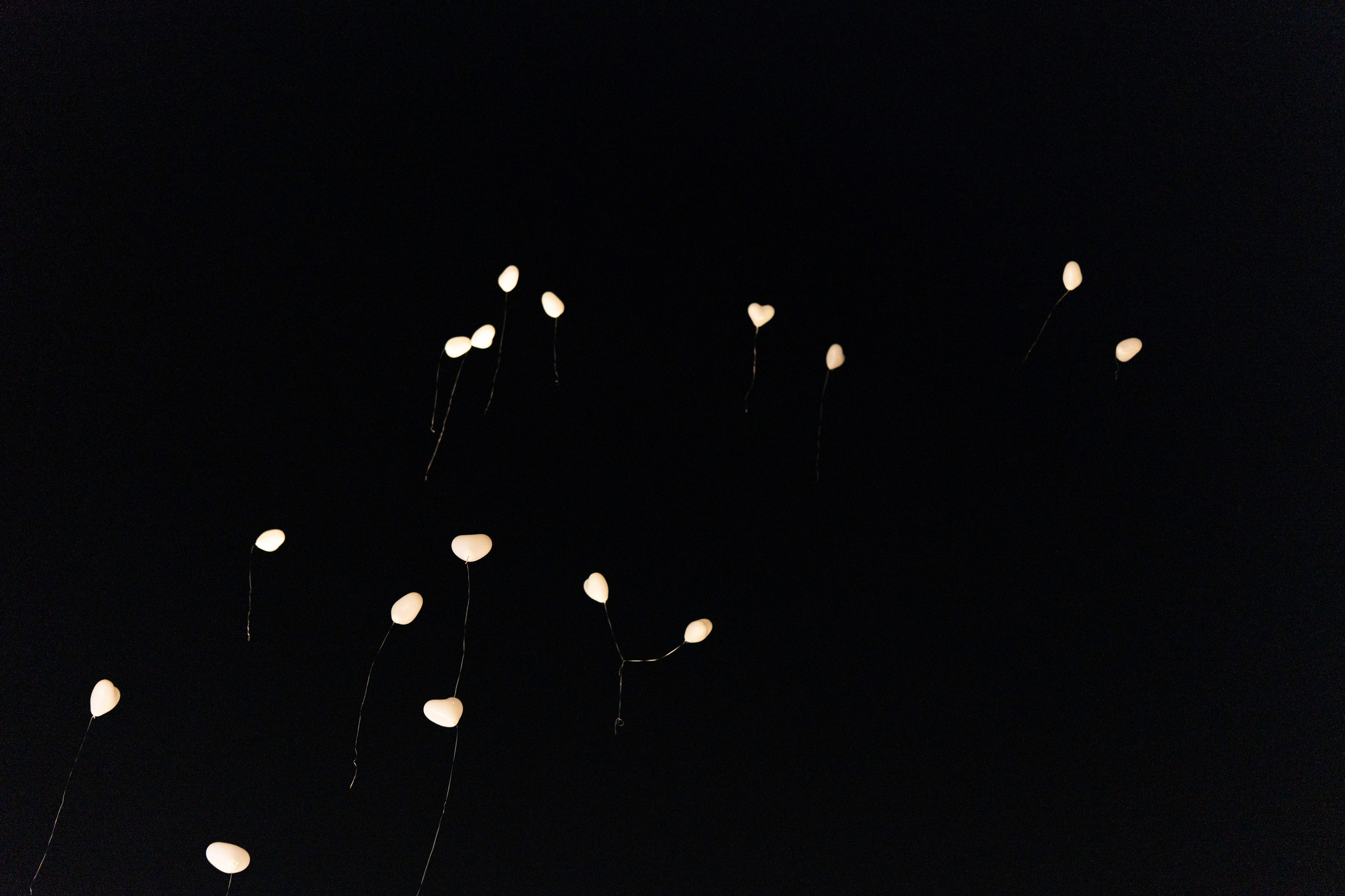 Wedding of Shaked & Omer