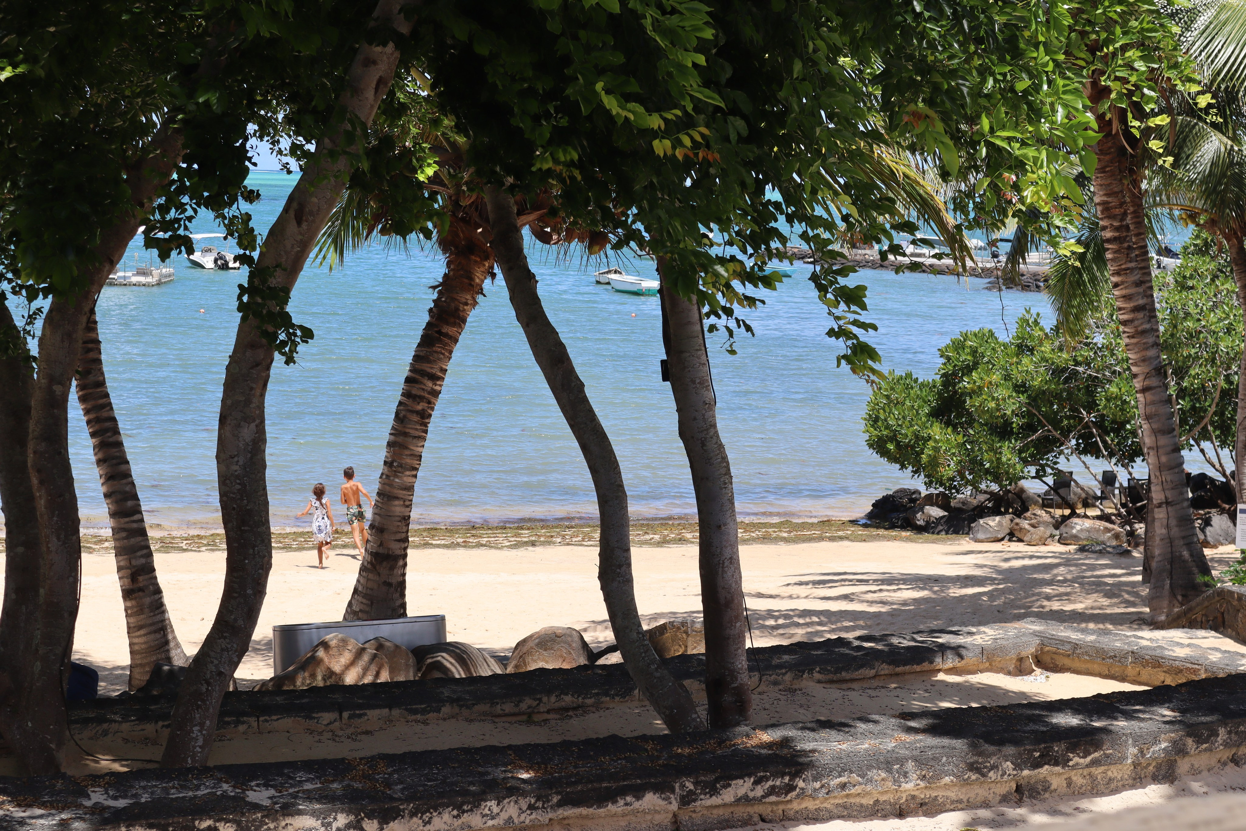 Путешествие на родину птицы додо. Travel photographer Ksenia