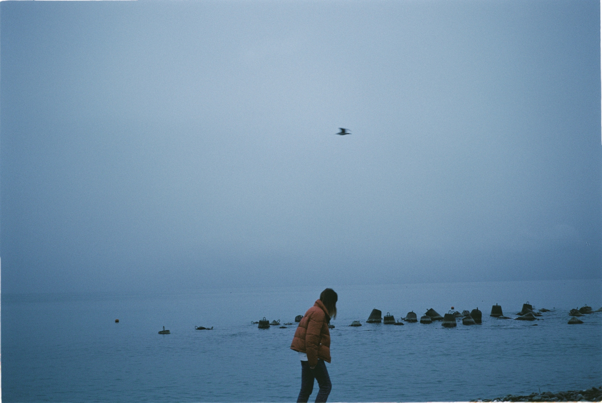 Or was it only a dream? (diary). Daria Sukhikh | Photography