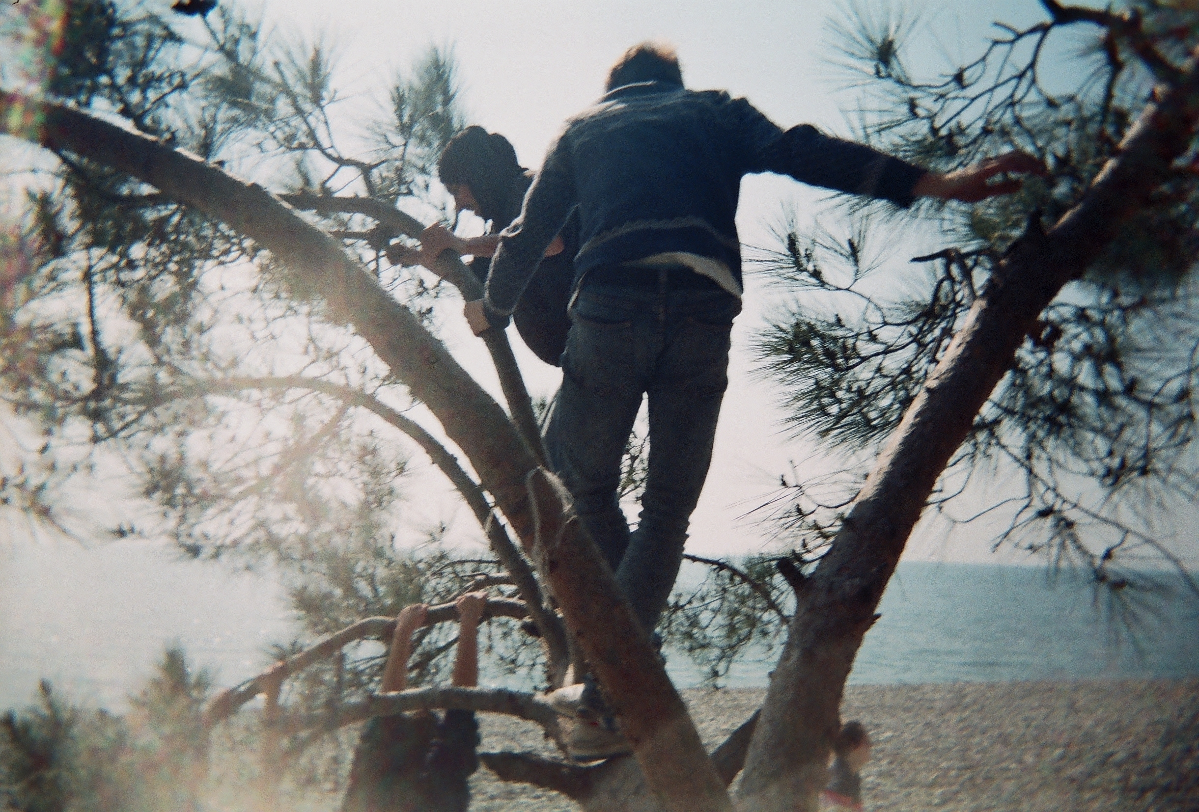 Or was it only a dream? (diary). Daria Sukhikh | Photography