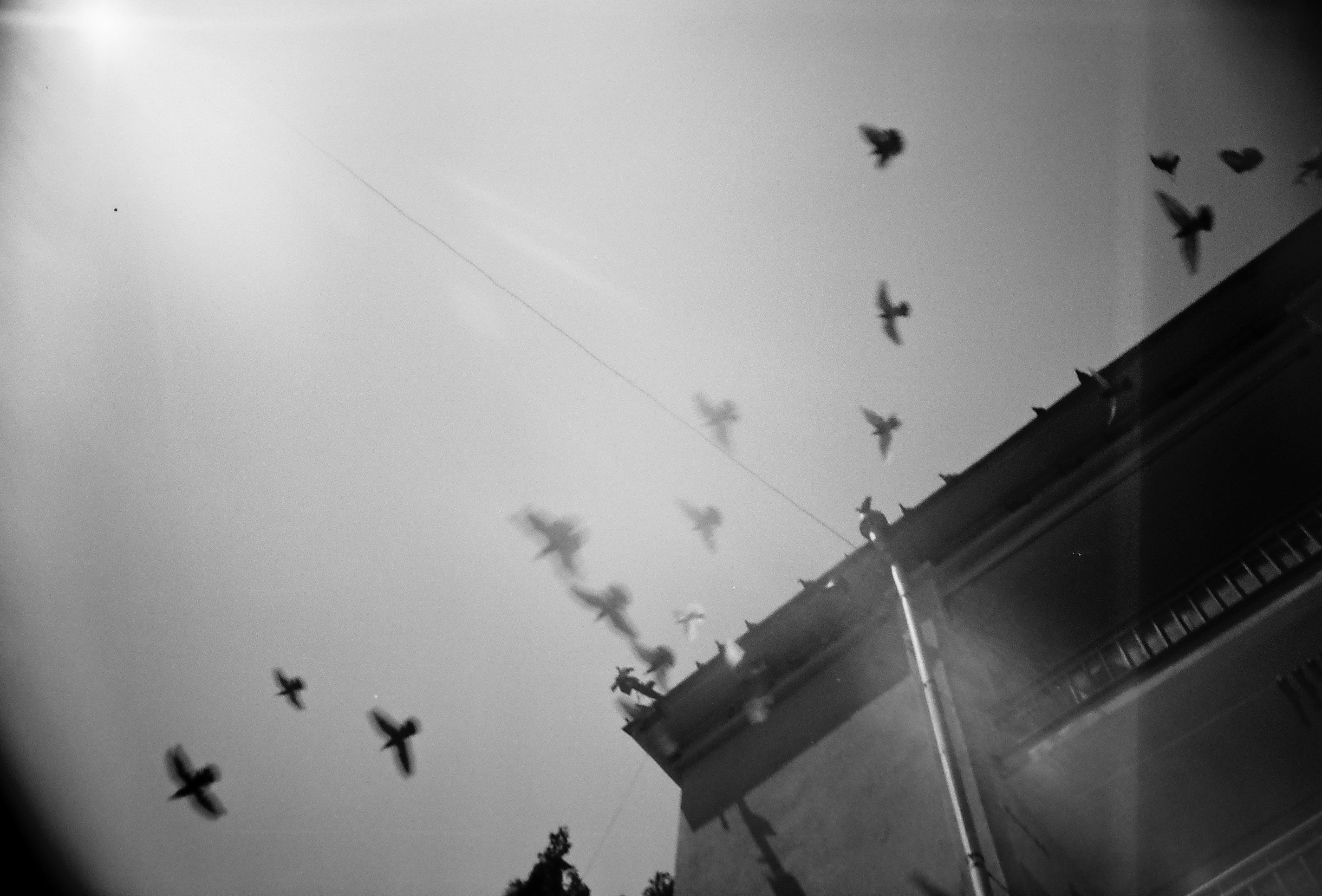 Or was it only a dream? (diary). Daria Sukhikh | Photography