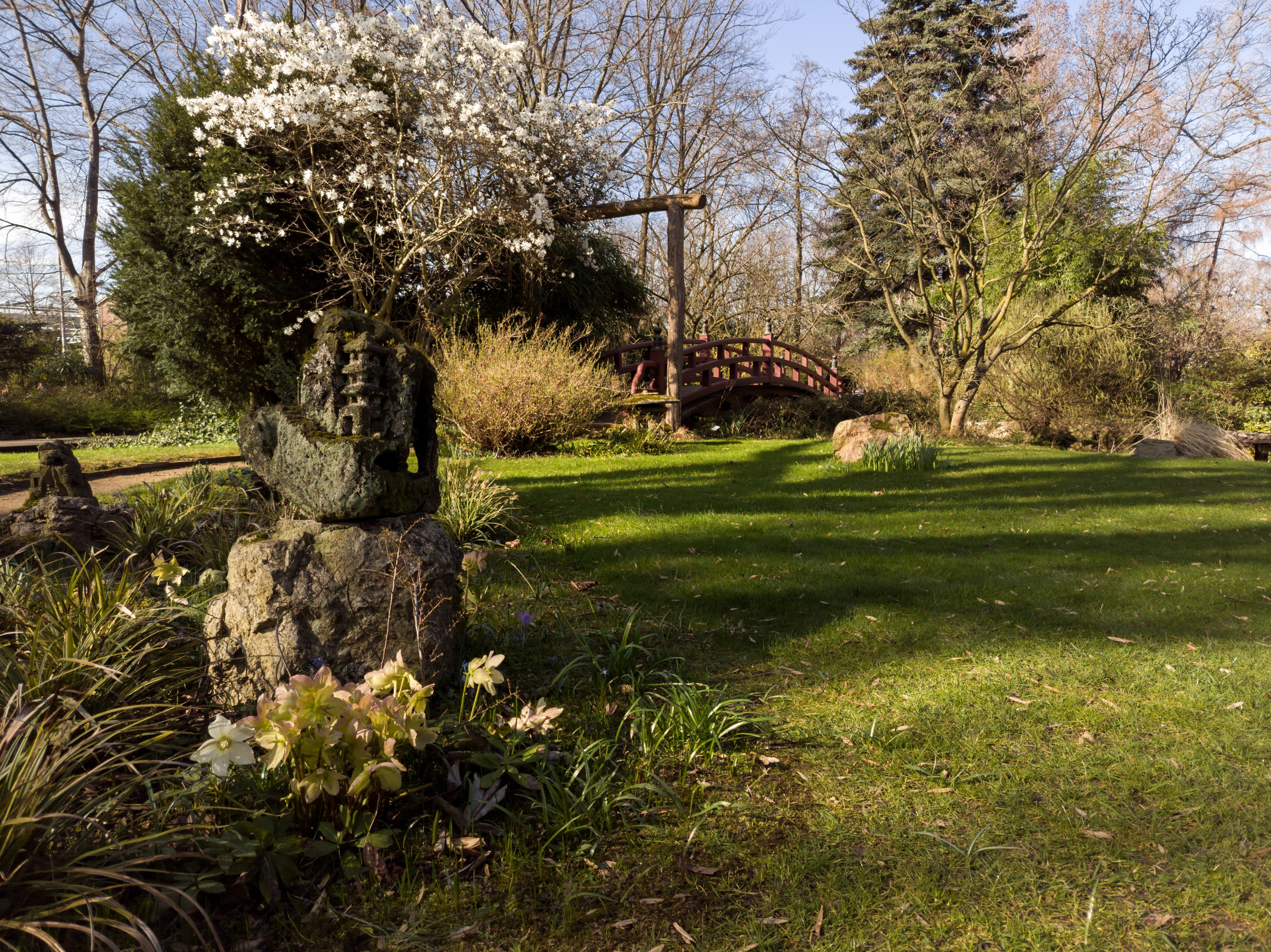 Cologne (Germany) Leverkusen. Fotograf in Köln, Bonn, Düsseldorf, Krefeld