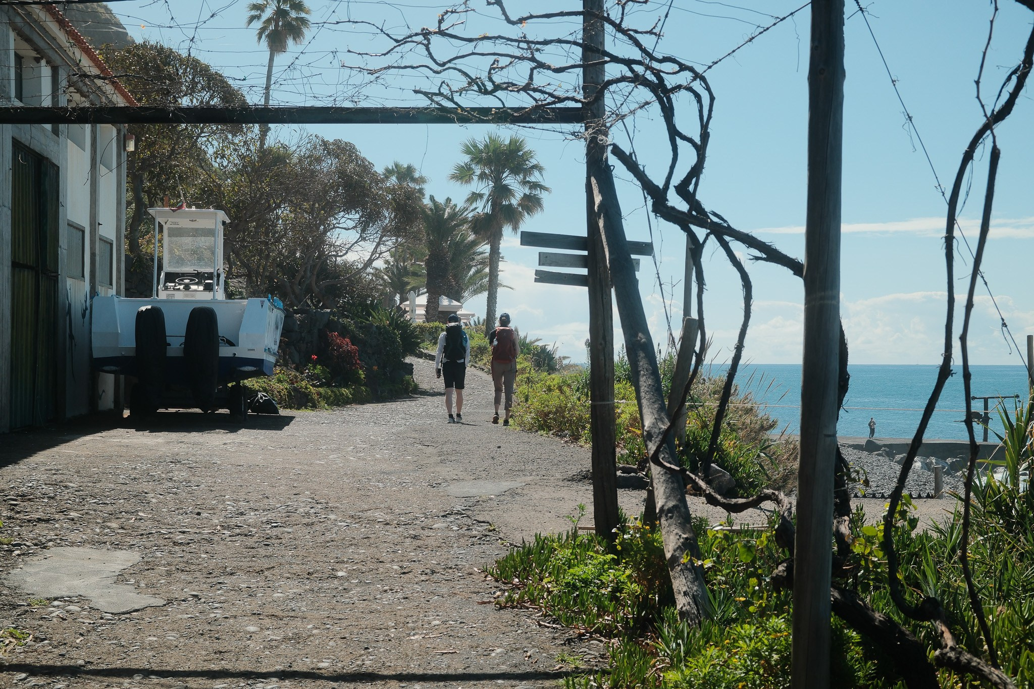 Madeira 2025. Cal Takes Photos