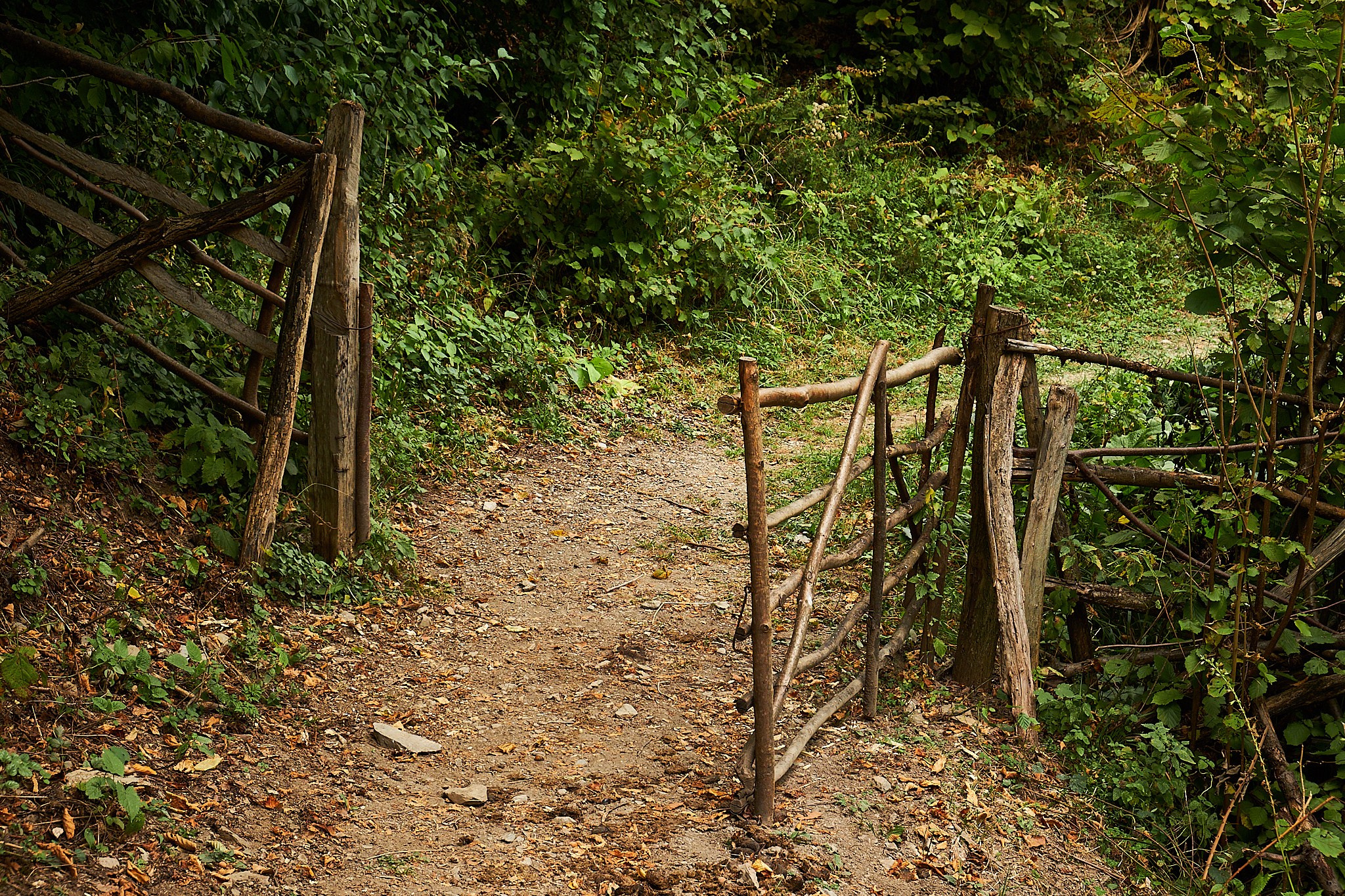 Ineleț, jud. Caraș-Severin. Pagina principală