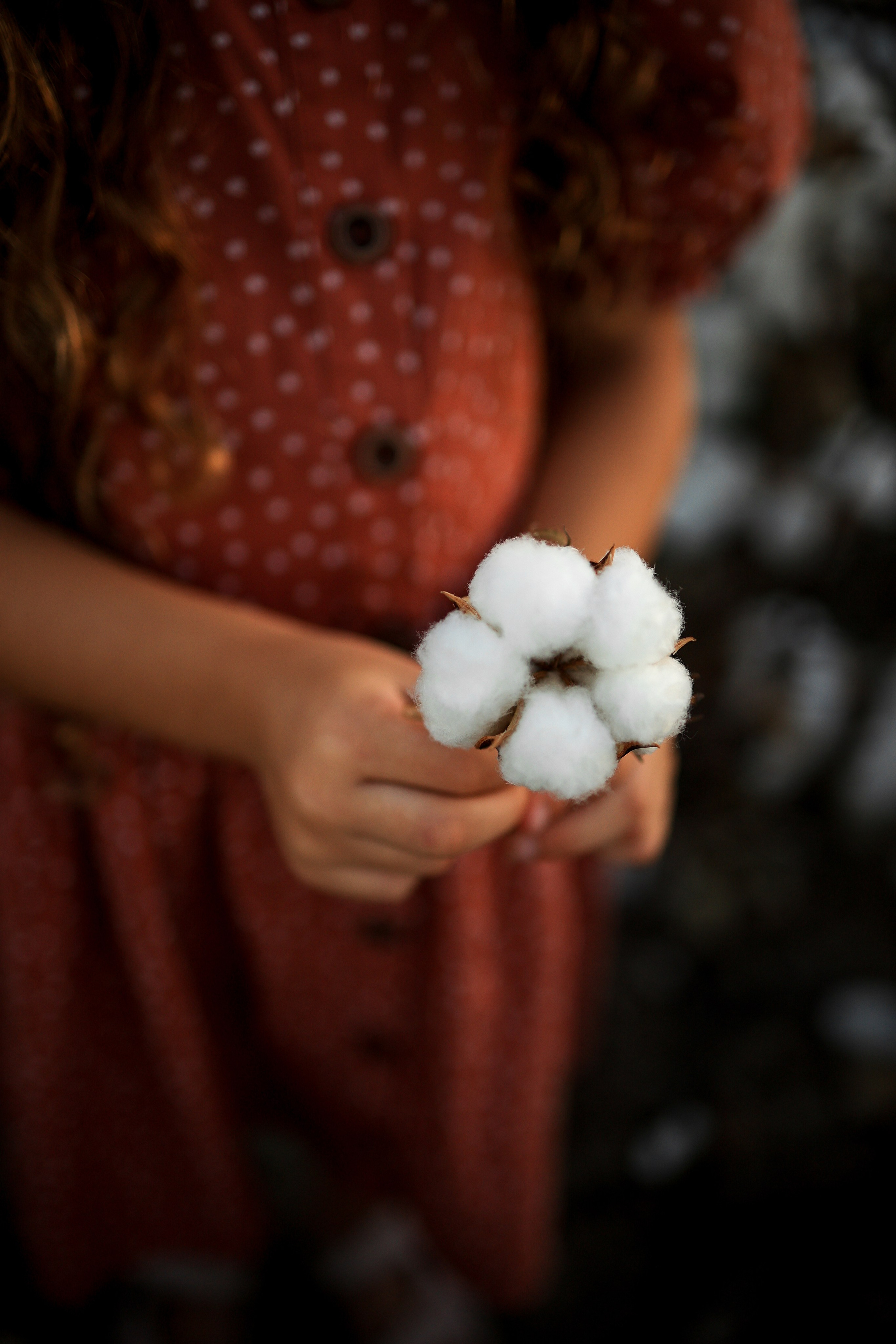 Фотосессия на хлопковом поле. Фотограф в Турции, Анталии, Кемере, Белеке, Сиде, Каше, Калкане, Фетхие