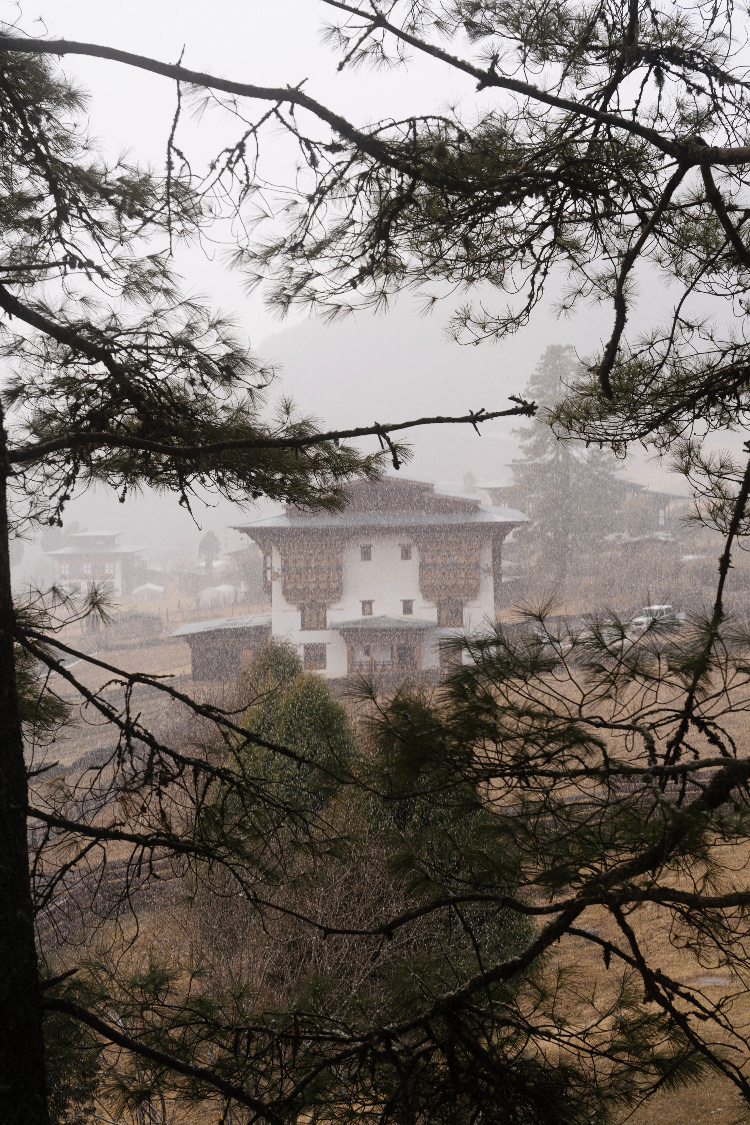 Amankora Gangtey, Bhutan. Editorial photographer Yuliya Drazdovich