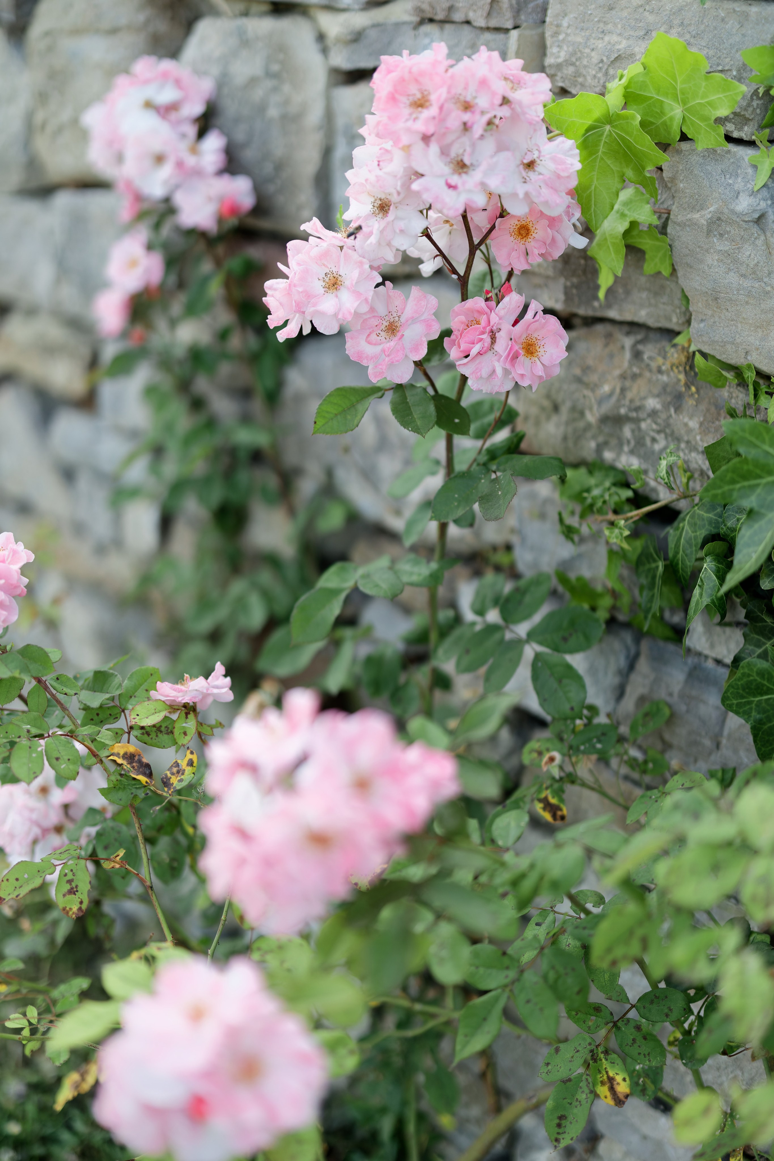 Wedding at Borgo Bastia Creti, Umbria