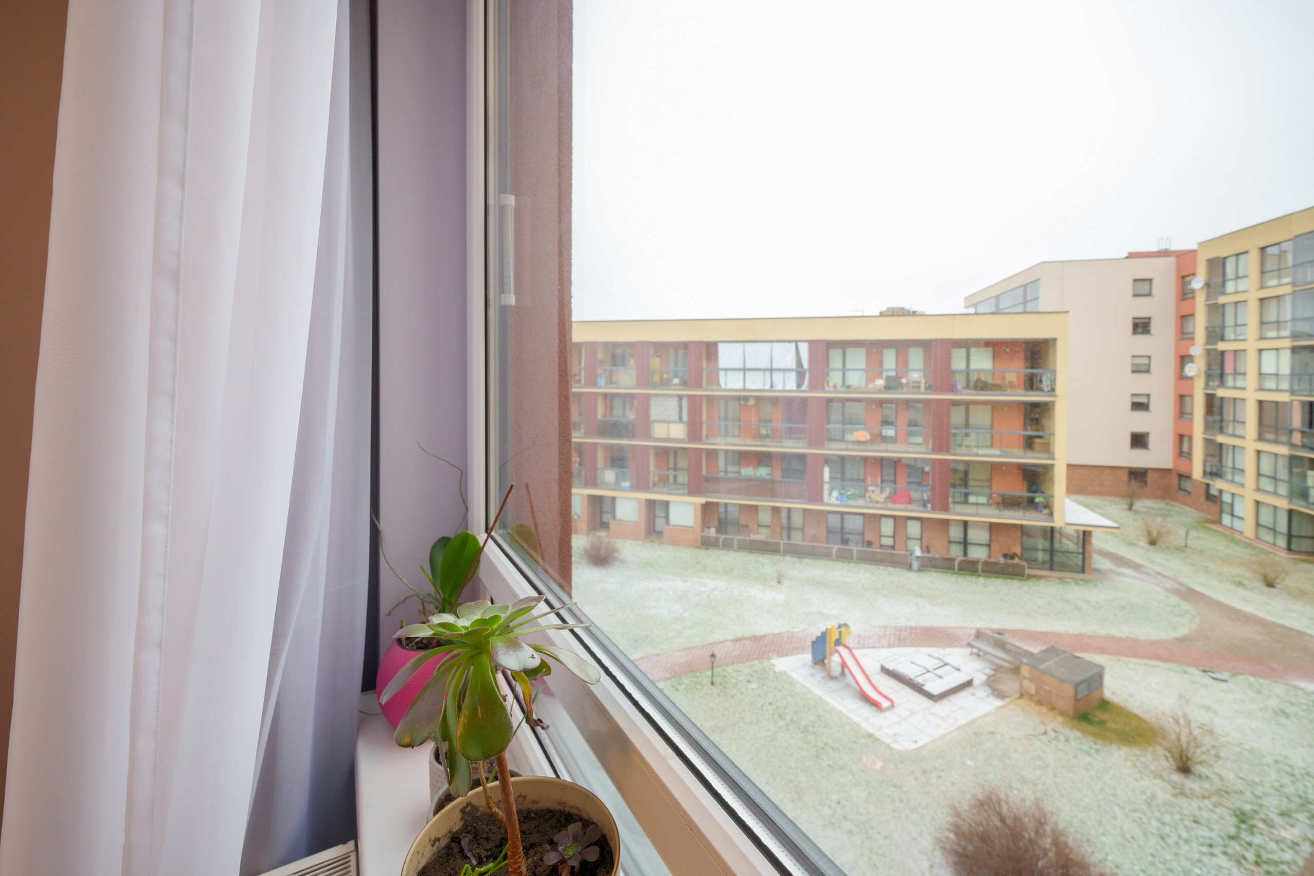 Bajorų kelias 1. Elina Sapiega fotografė Vilniuje