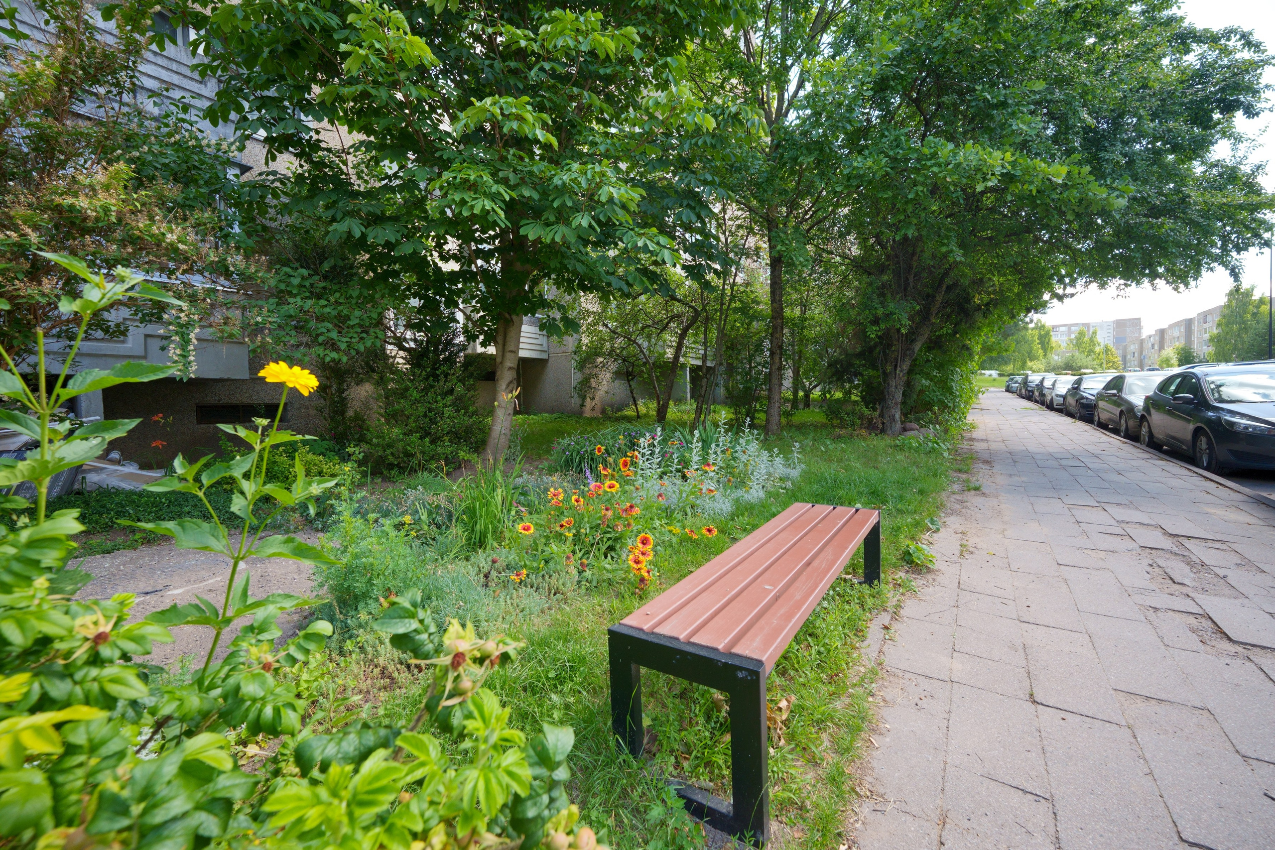 Fabijoniškių g. 73. Elina Sapiega fotografė Vilniuje