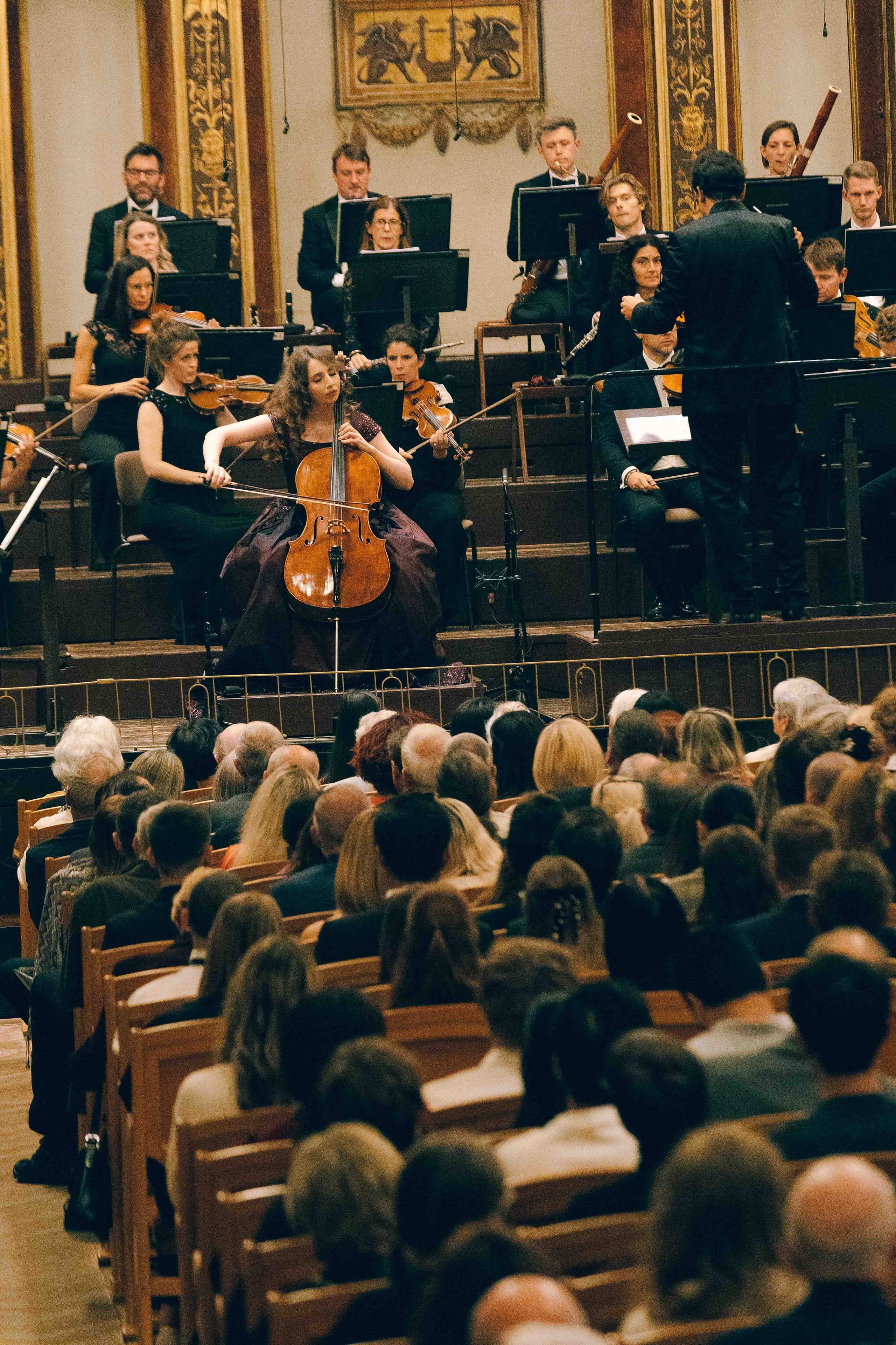 MUSIKVEREIN (VIENNA). Wedding&Event photographer Ismail Rzayev in Baku