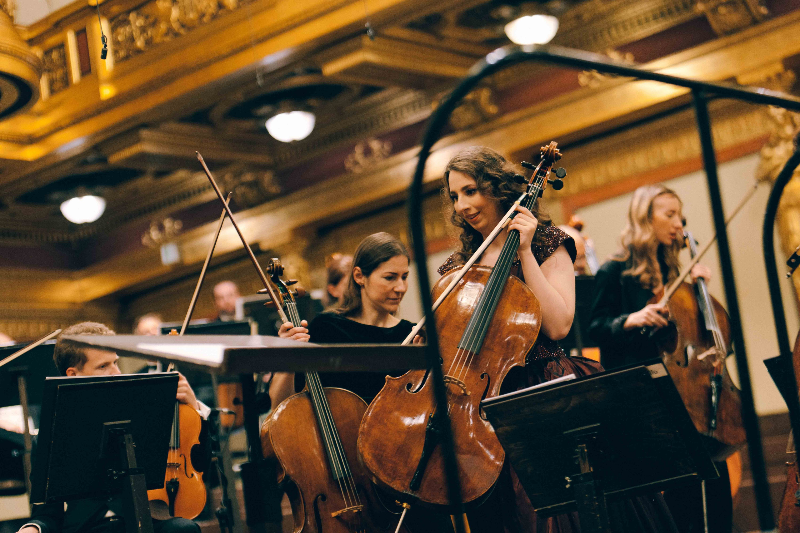 MUSIKVEREIN (VIENNA). Wedding&Event photographer Ismail Rzayev in Baku