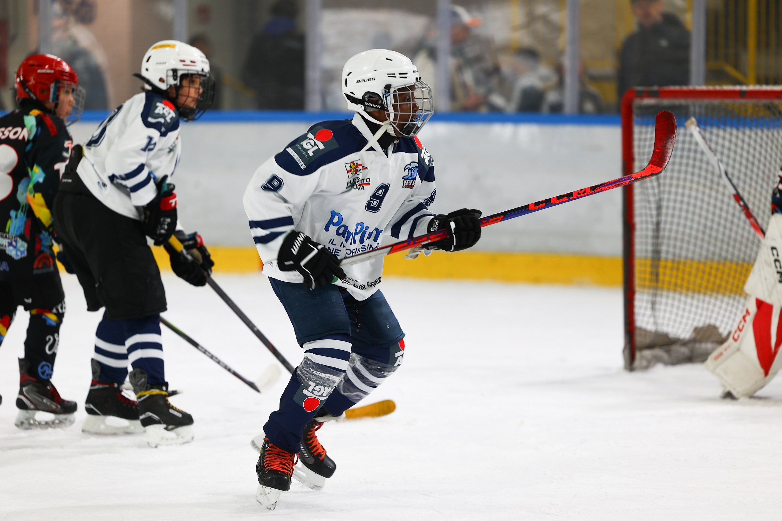 Sport Events. Photographer, Videomaker, Drone, Padova, Venice, Italy, Elena Radchenko