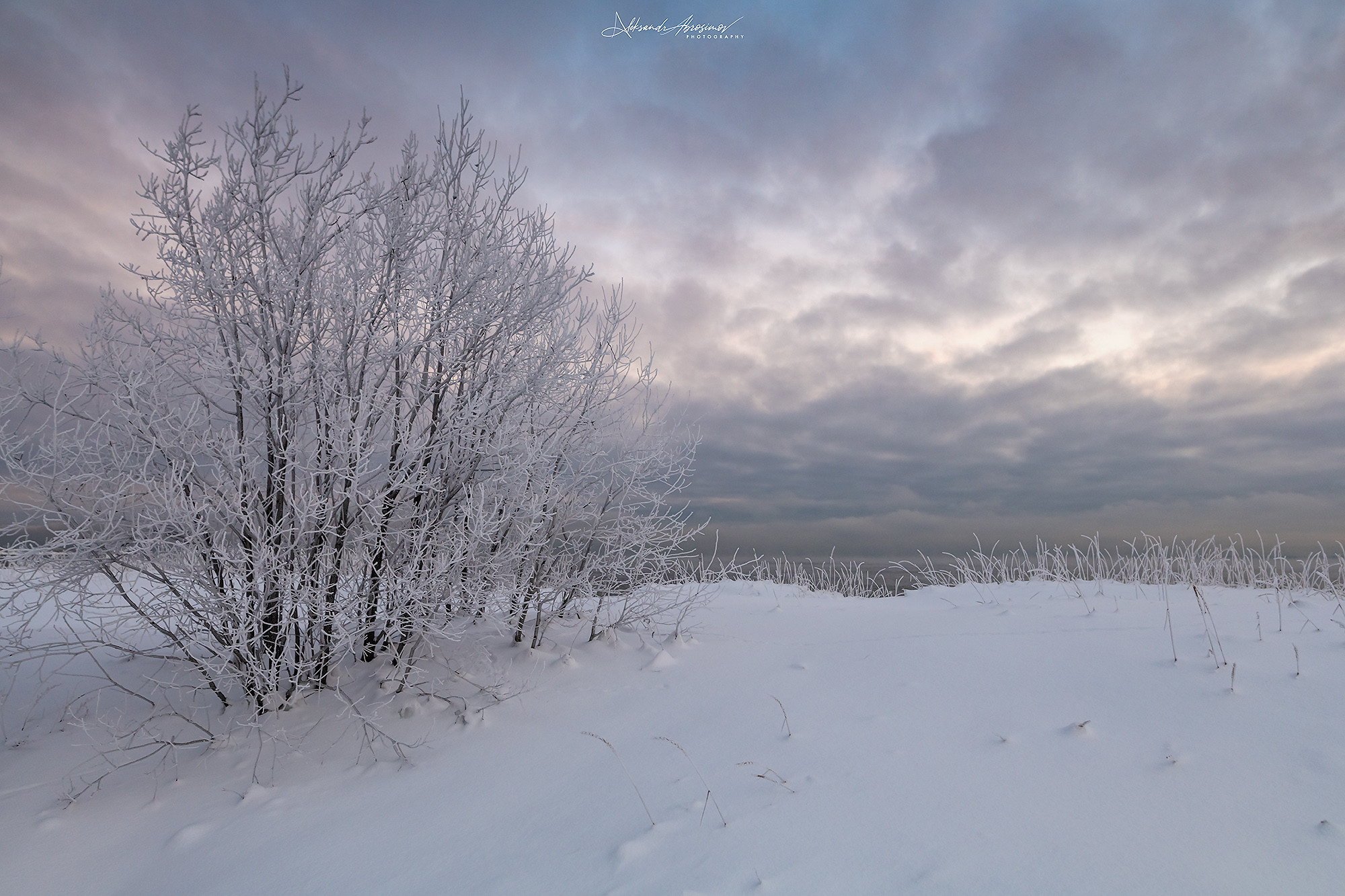 Winter landscape. Зимние пейзажи. Aleksandr Abrosimov Photography