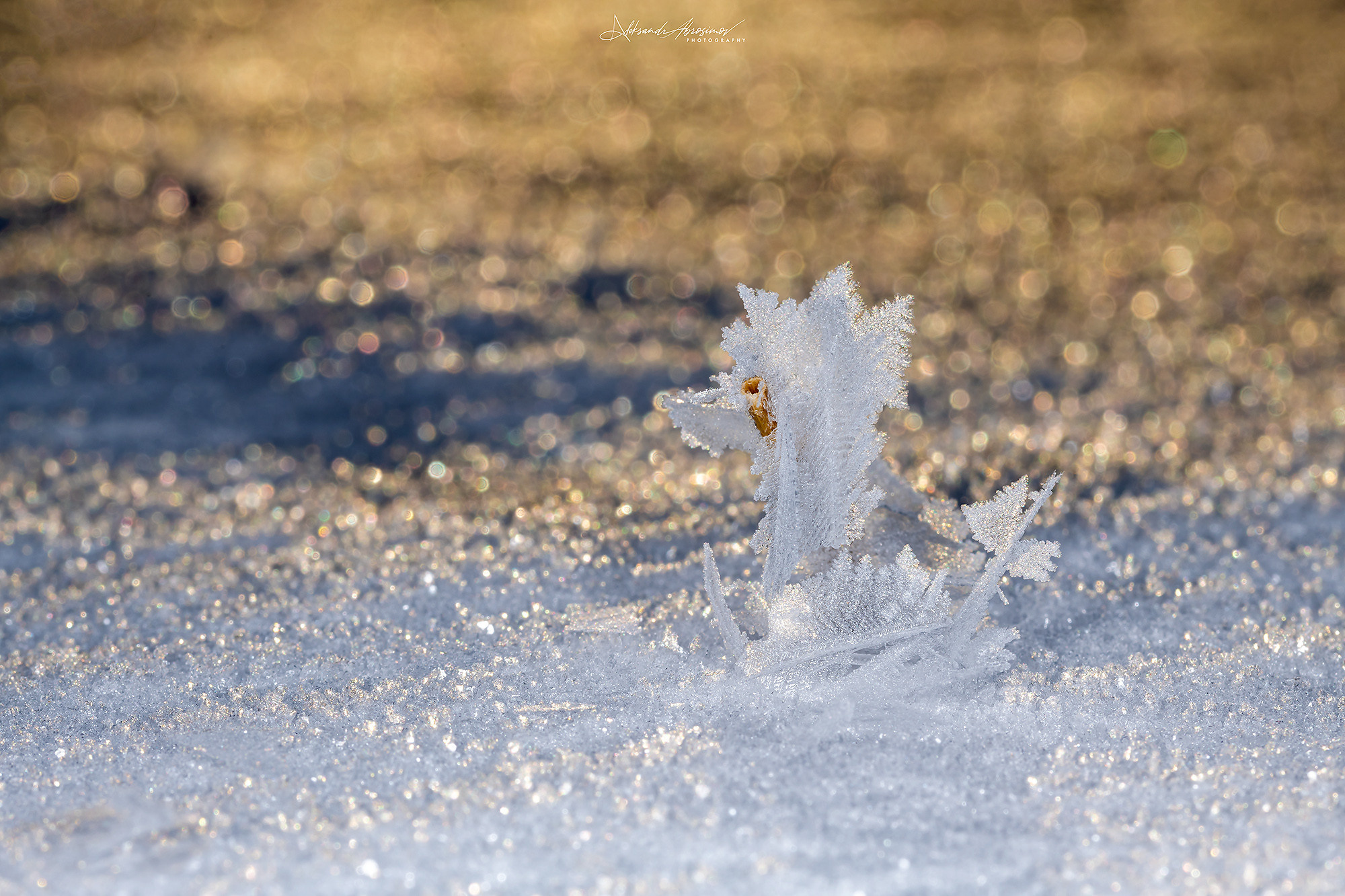 Nature. Природа. Aleksandr Abrosimov Photography