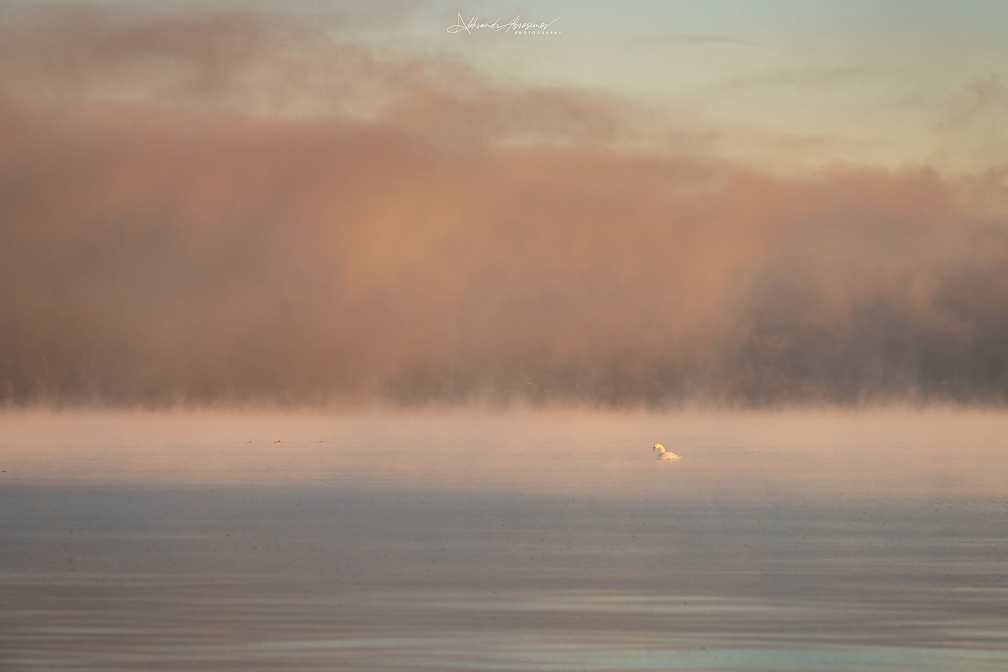Winter landscape. Зимние пейзажи. Aleksandr Abrosimov Photography