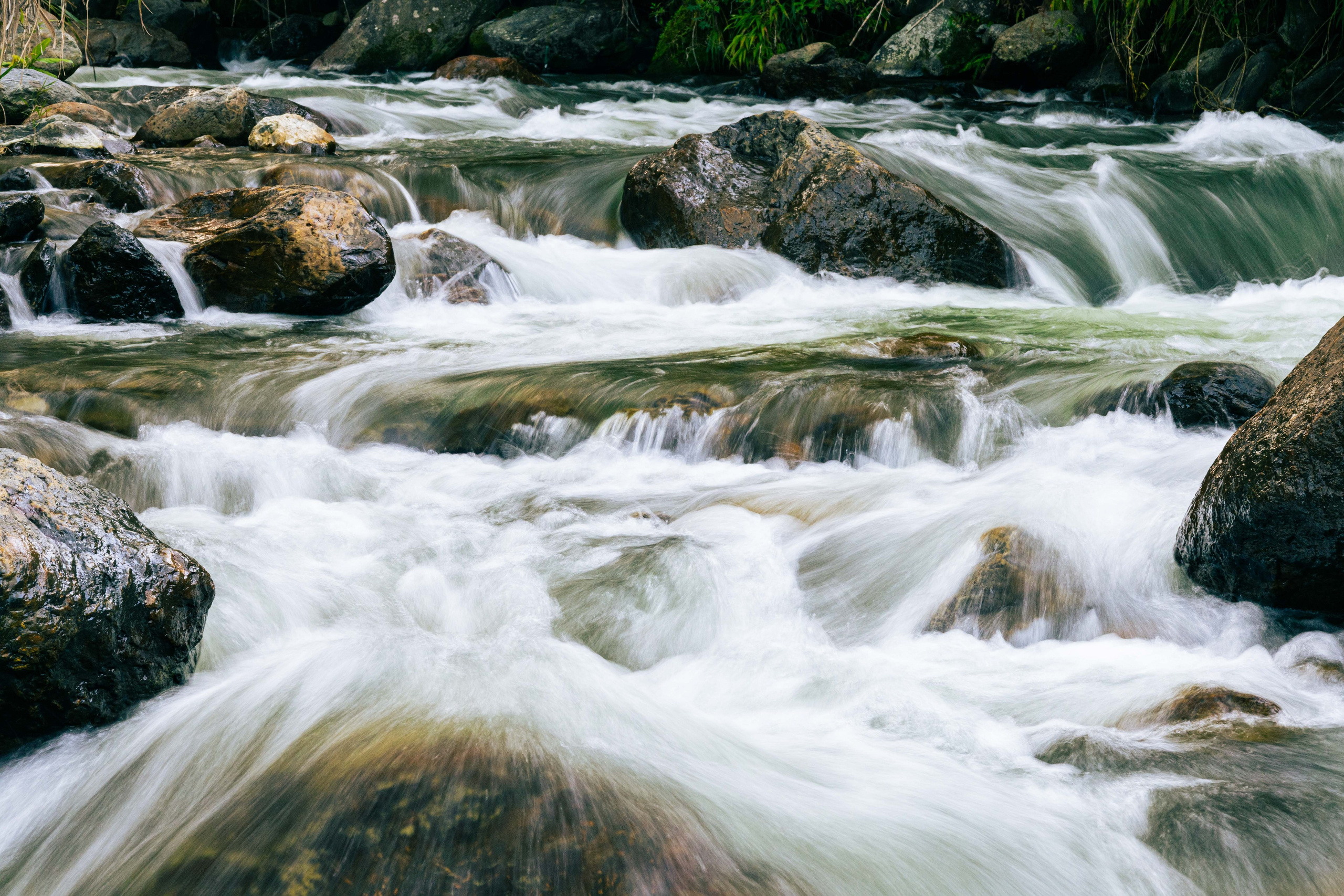 Fotografía profesional para su evento y marca personal