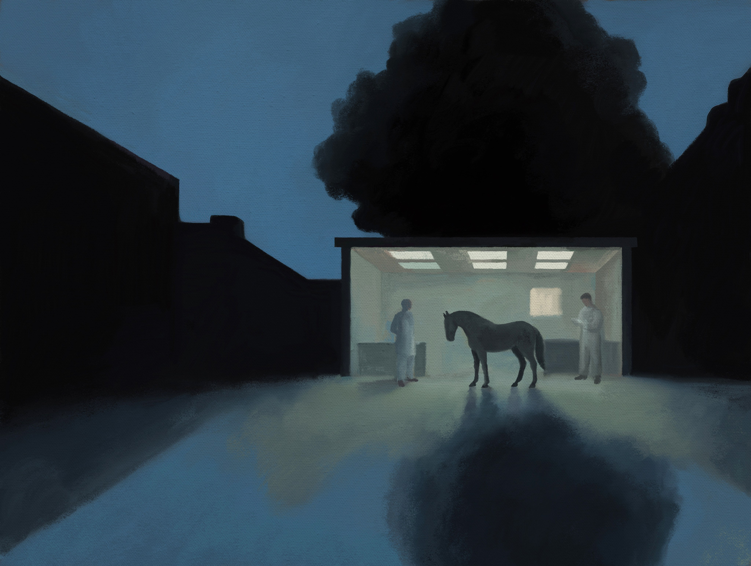 Horse Hospital. Marina Antonova