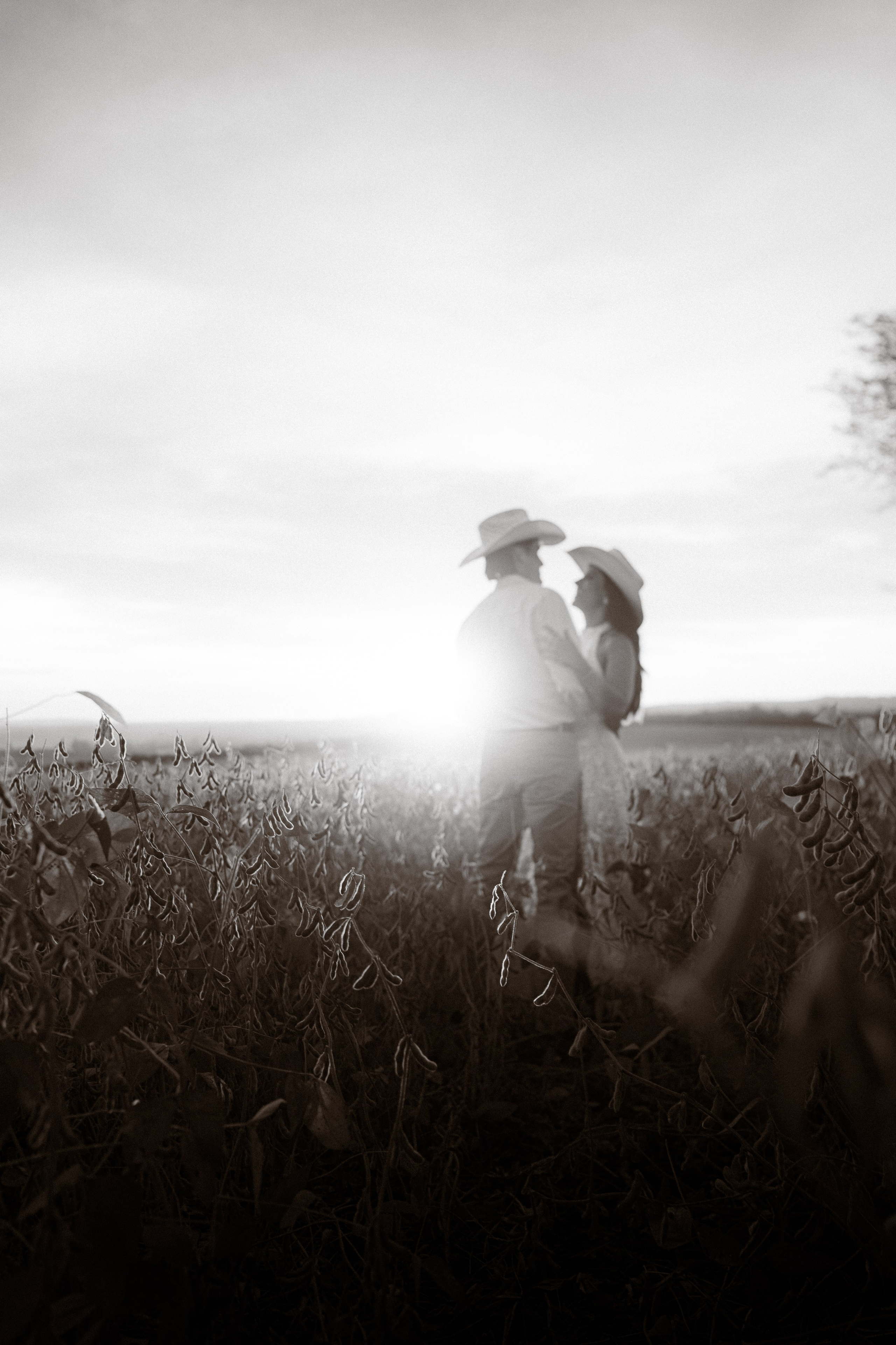 Pré Wedding. Reference Visuals