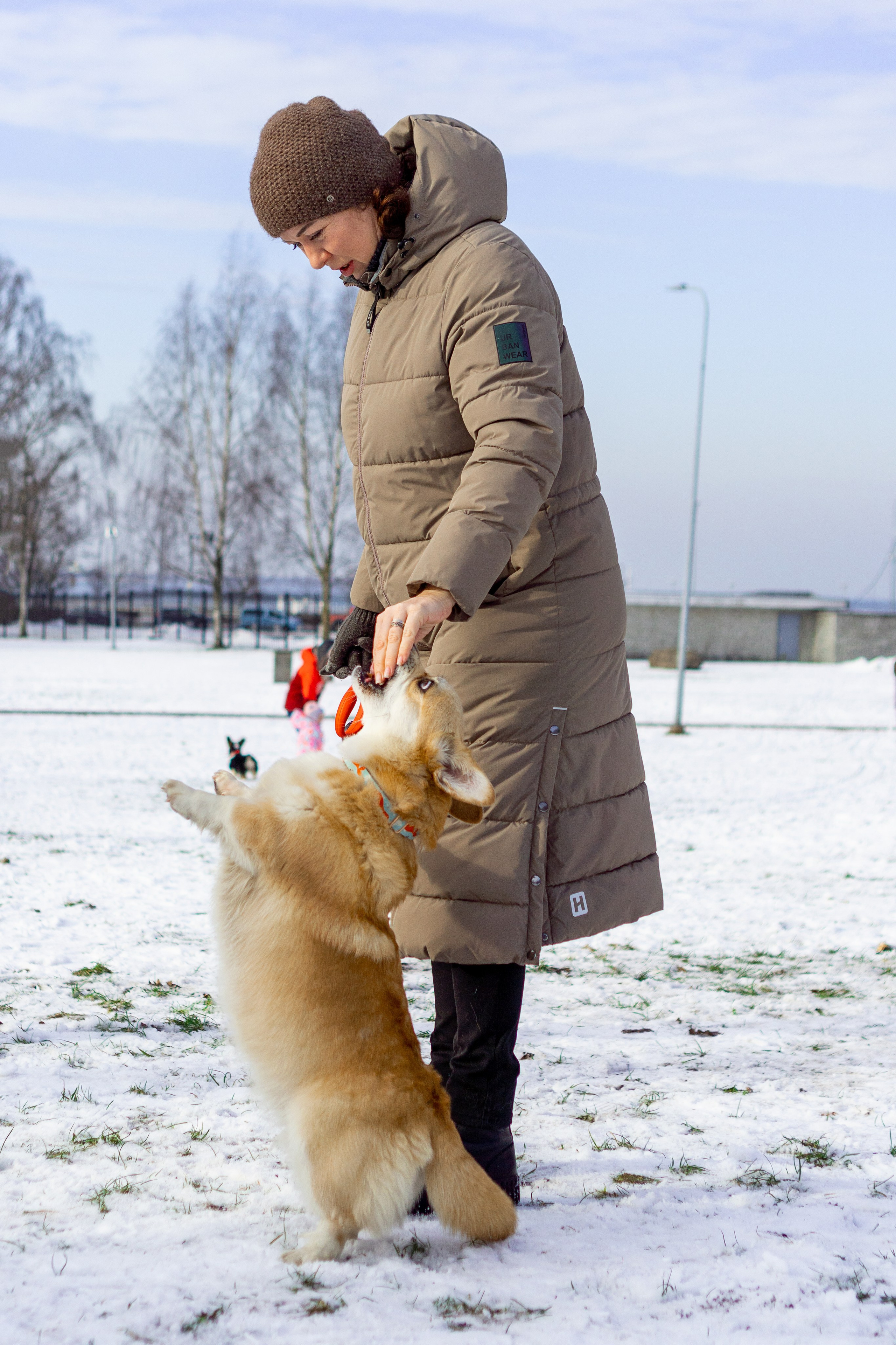Corgi party, 23 feb. 2025. Kat Laisaar — Pet photographer in Tallinn