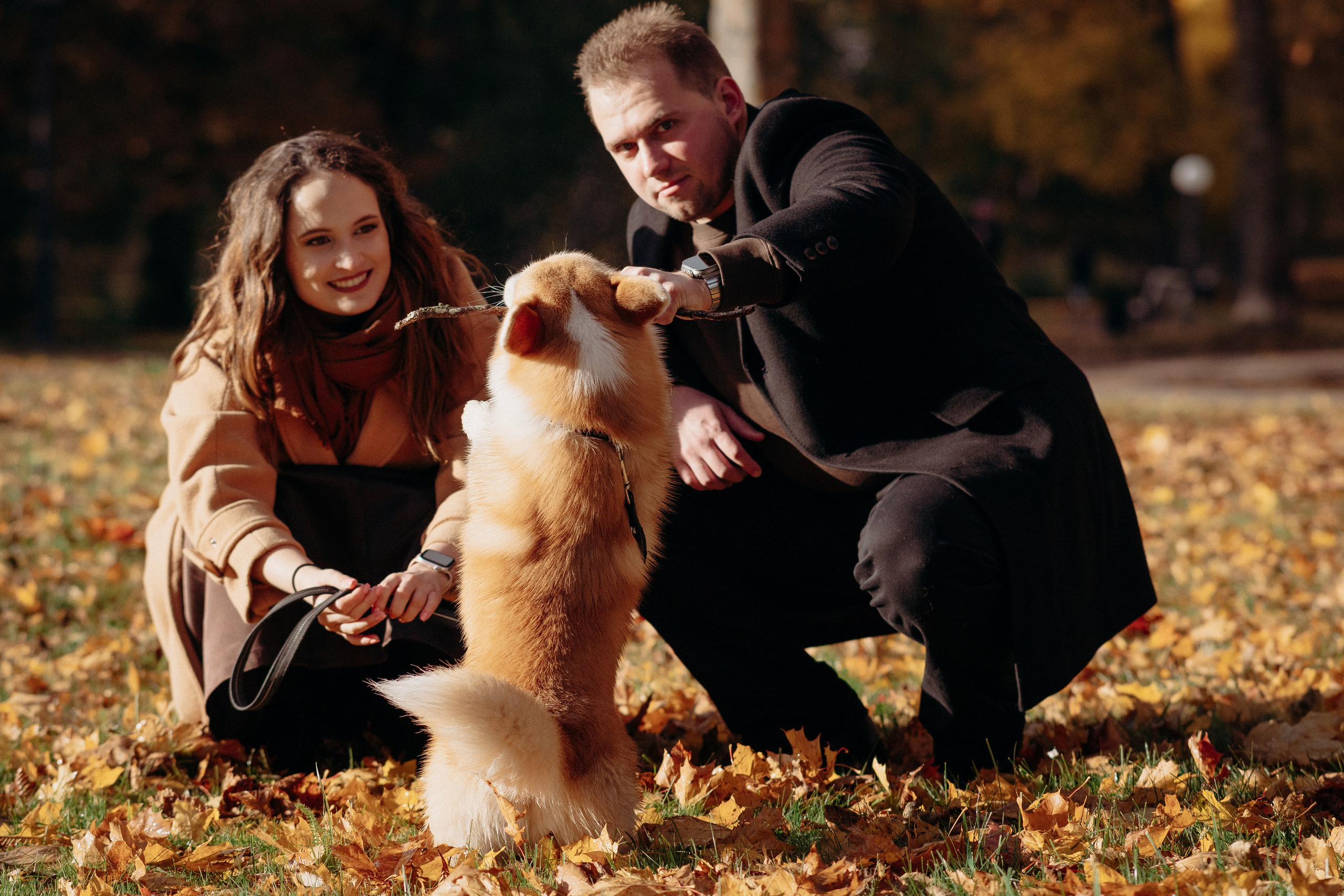 Liisa, Alexander & Marsel. Фотограф-анималист в Таллинне, Катя Лайсаар