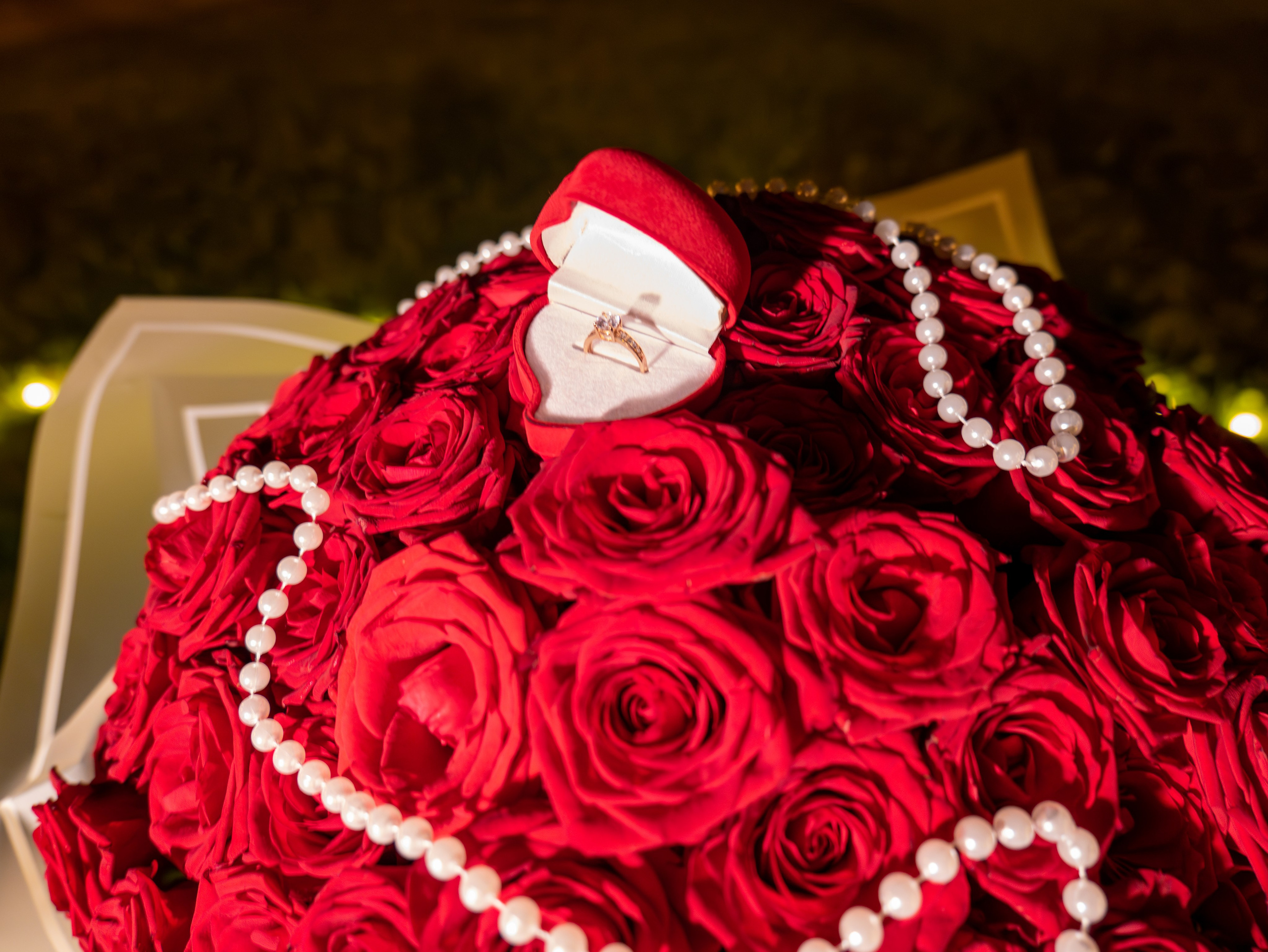 Alina&Ion. Fotograful și Cameramanul familiei dvs în Franța Paul Photographer