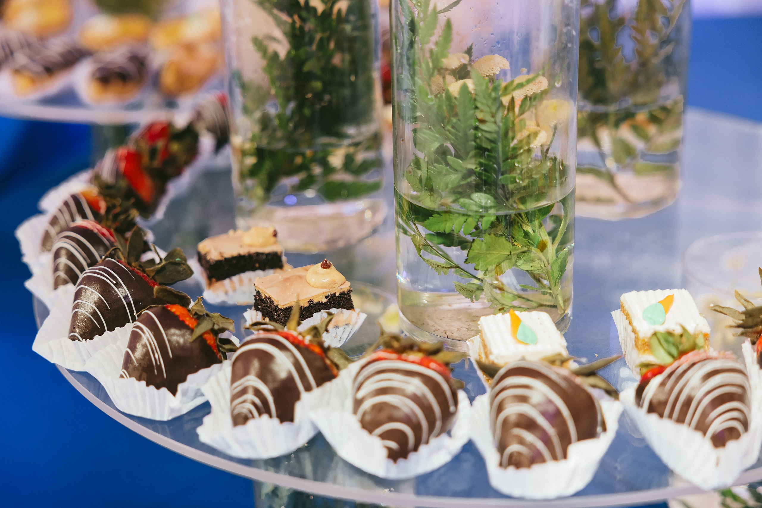 06.08.2025 Wedding. Wedding family event photographer in Chicago Nick Yushevich