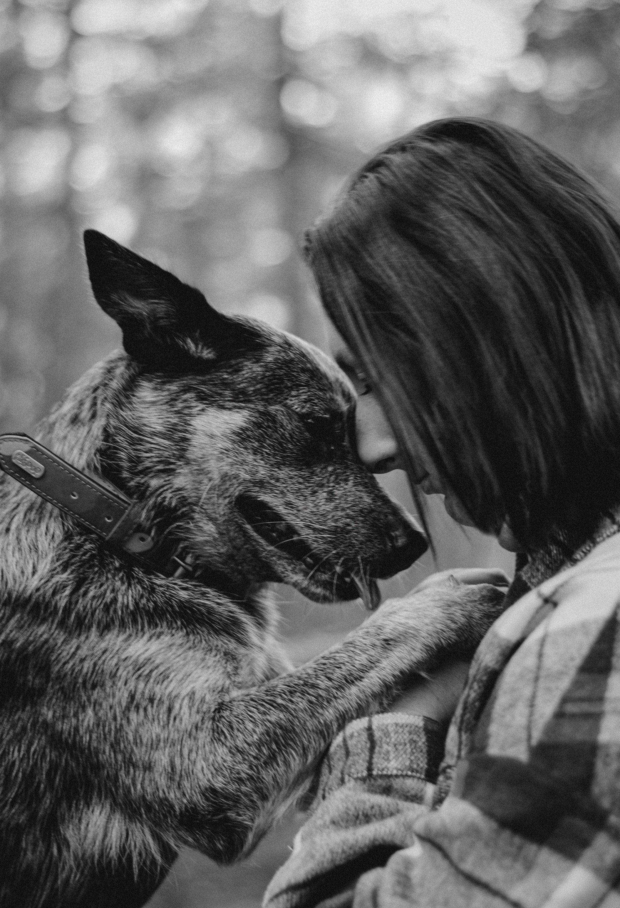 Polina and her Dakota, Blue Heeler. Kat Laisaar — Pet photographer in Tallinn