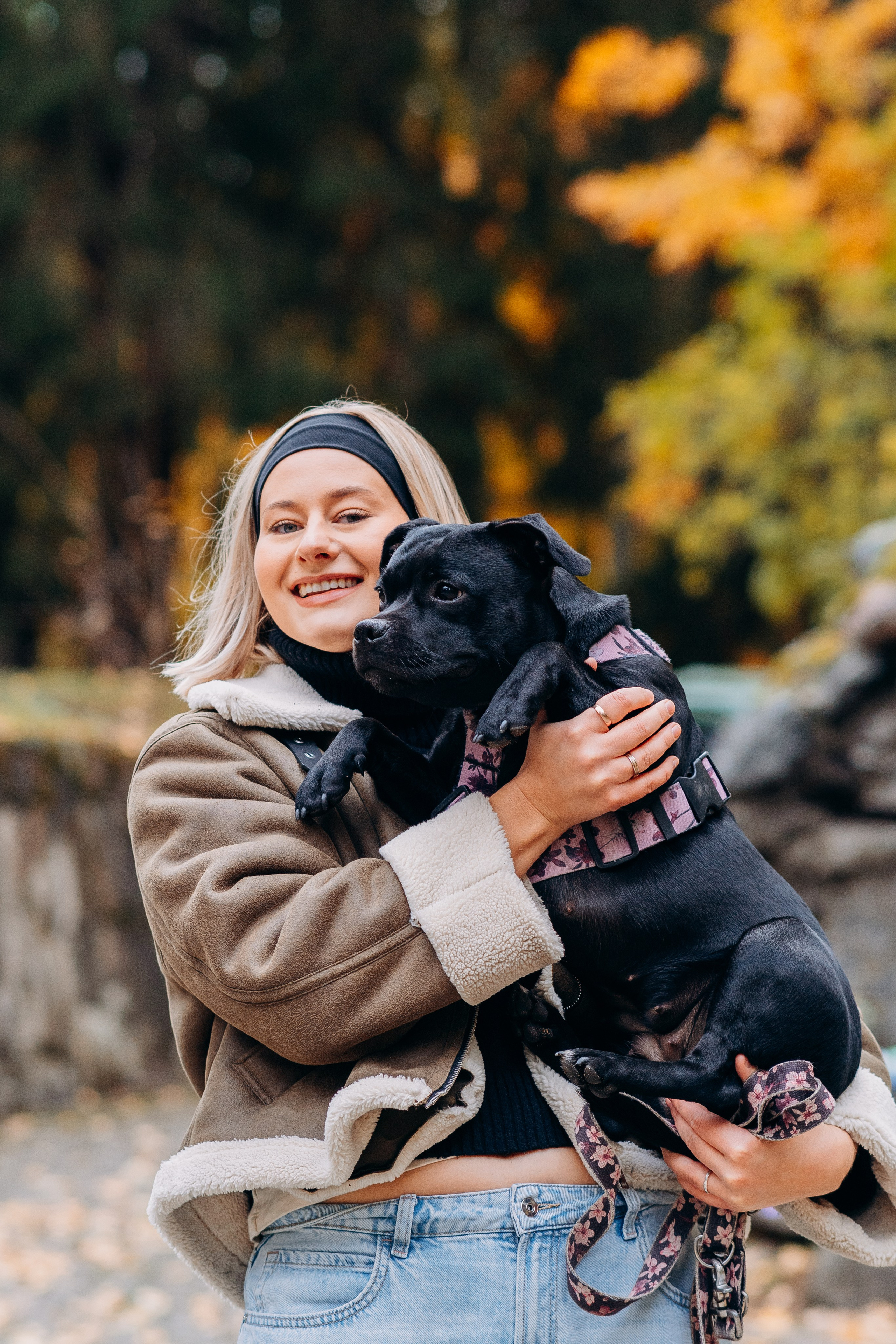 Staffordshire Bull Terriers Meetup. Kat Laisaar — Pet photographer in Tallinn